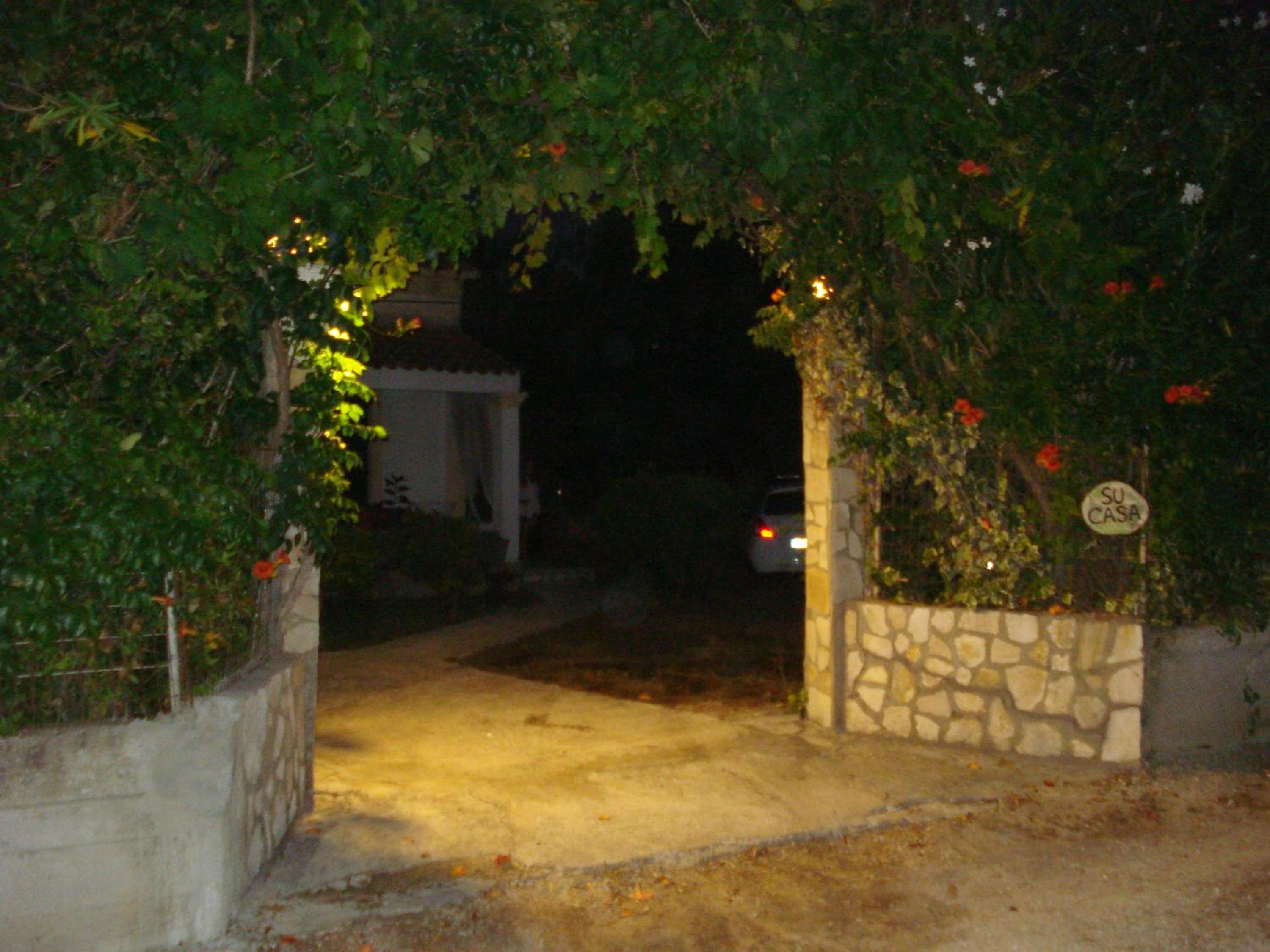 Photo 49
