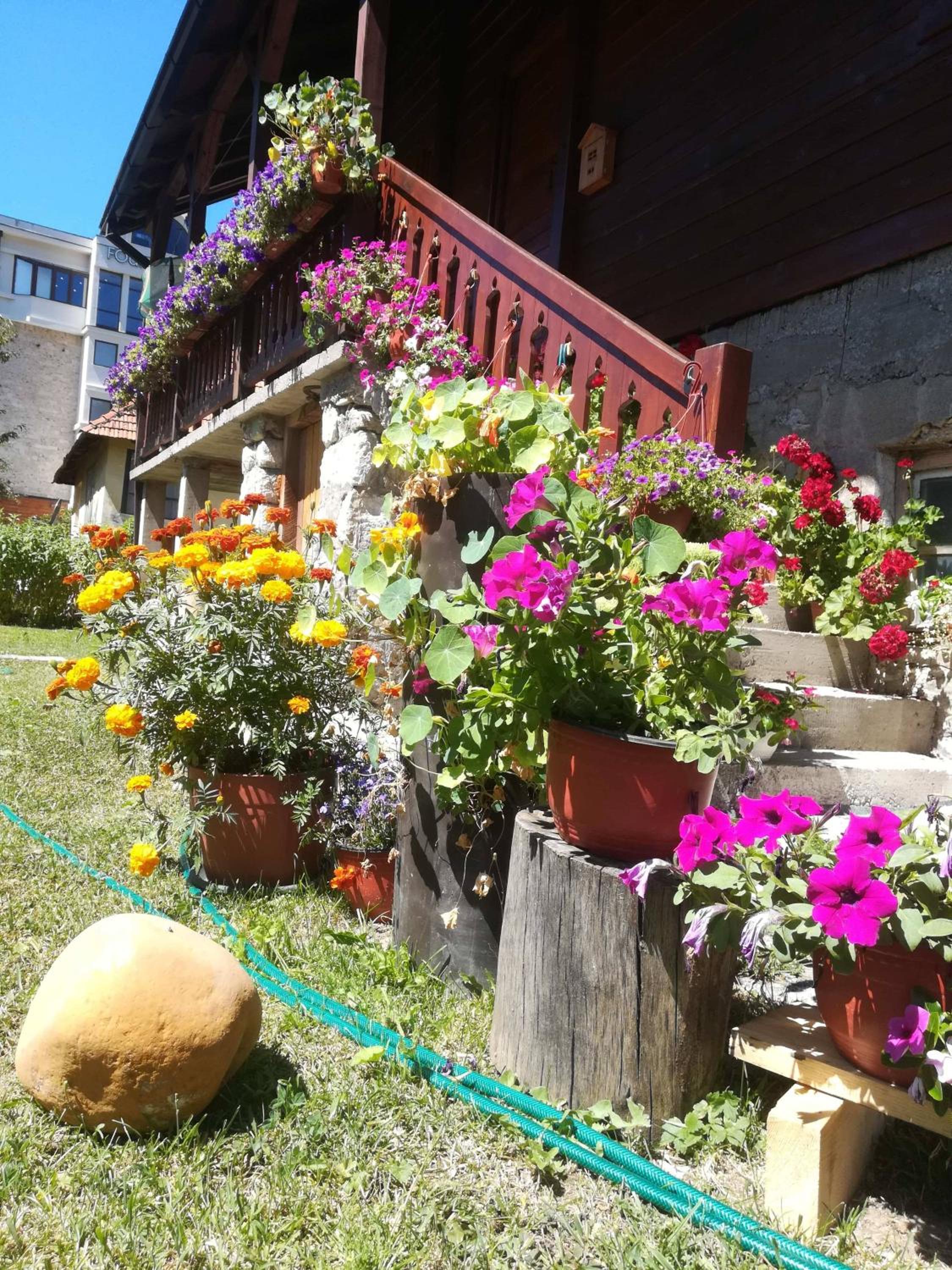 Dana apartmani view 2