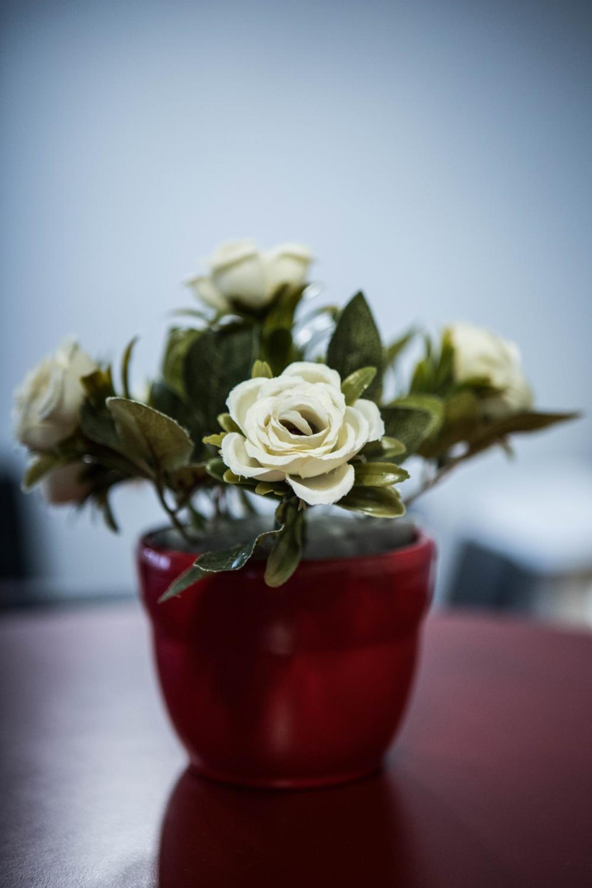 Photo 41