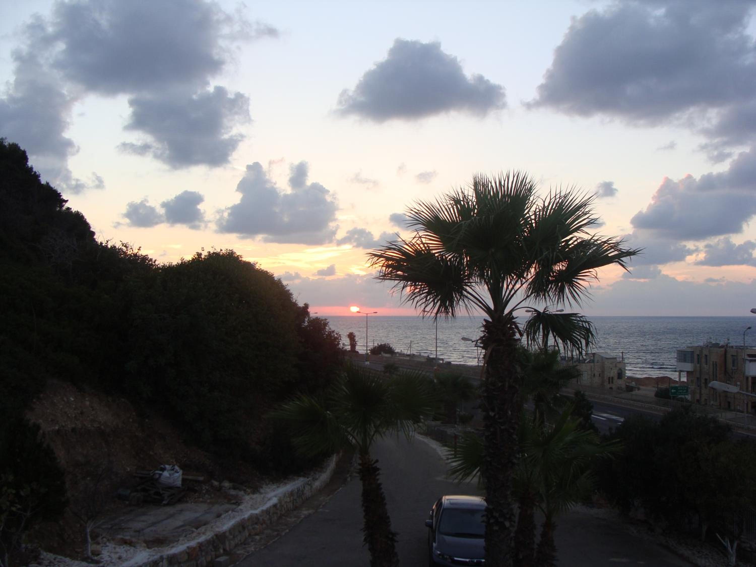 Tamer Guest house