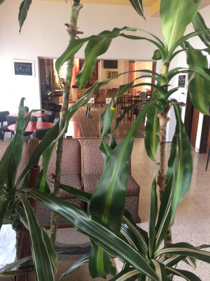 Hotel Catedral - Image 1