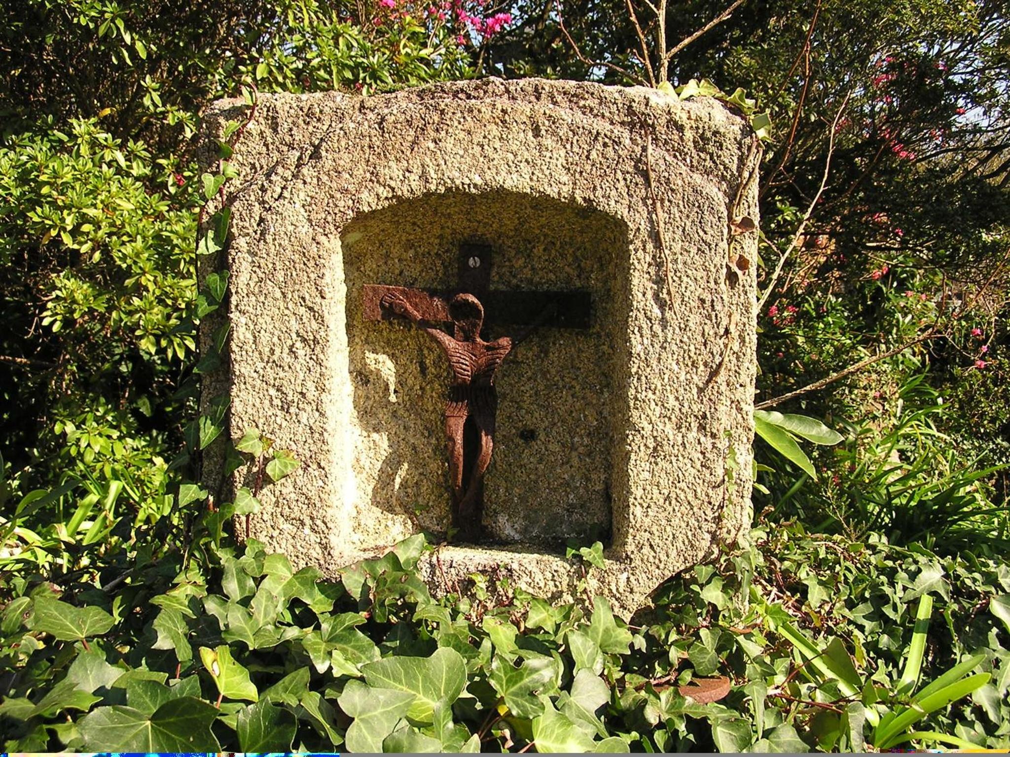 Photo 45