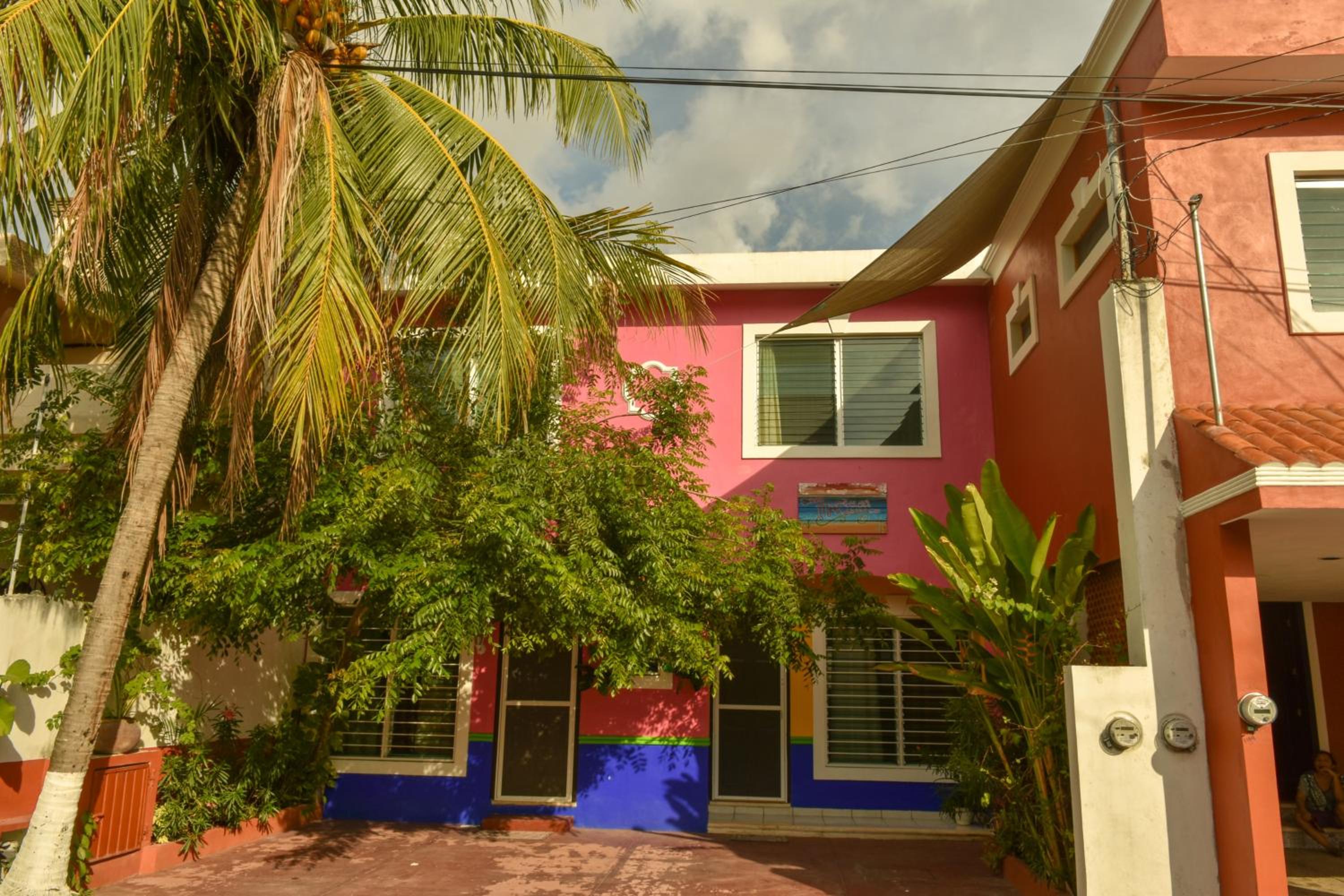 Photo 46