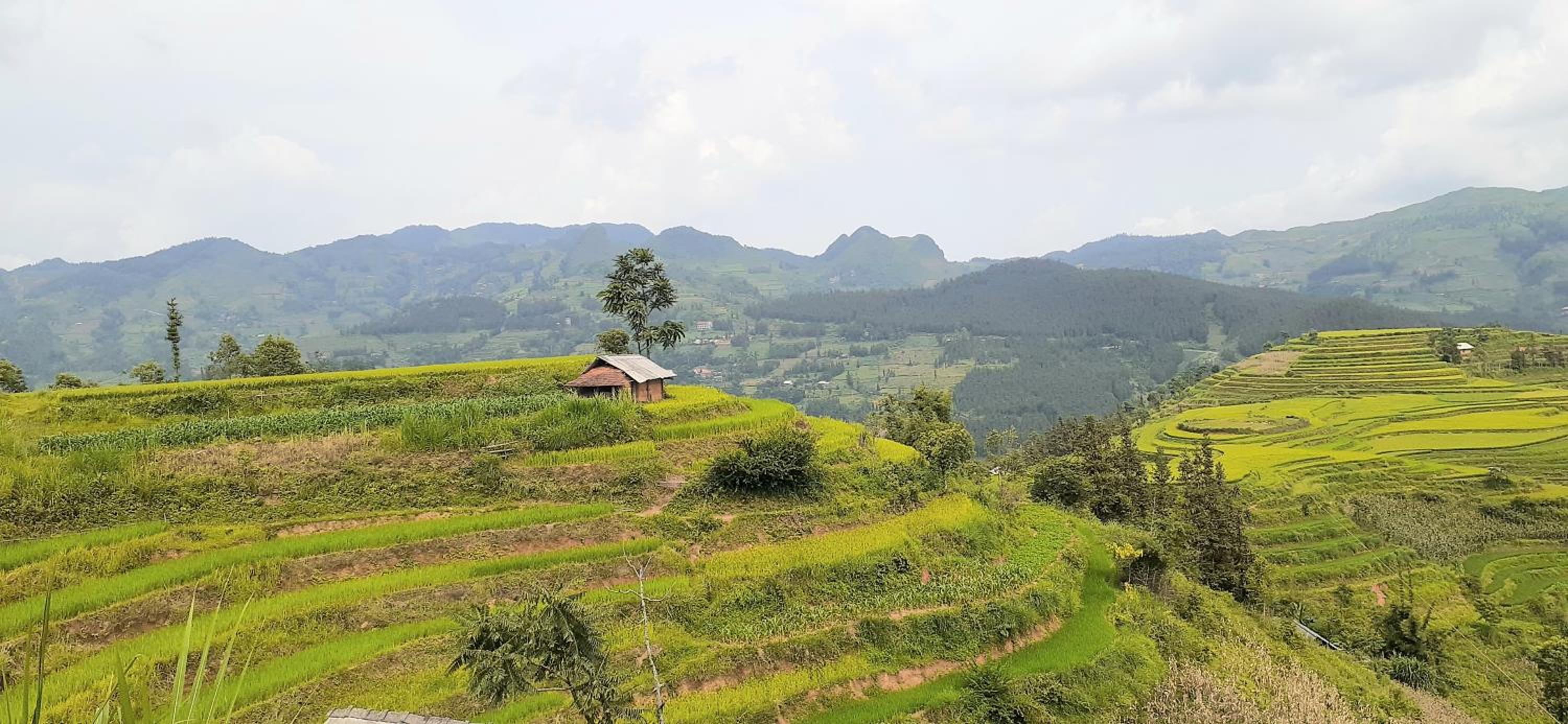 Sa House Bac Ha