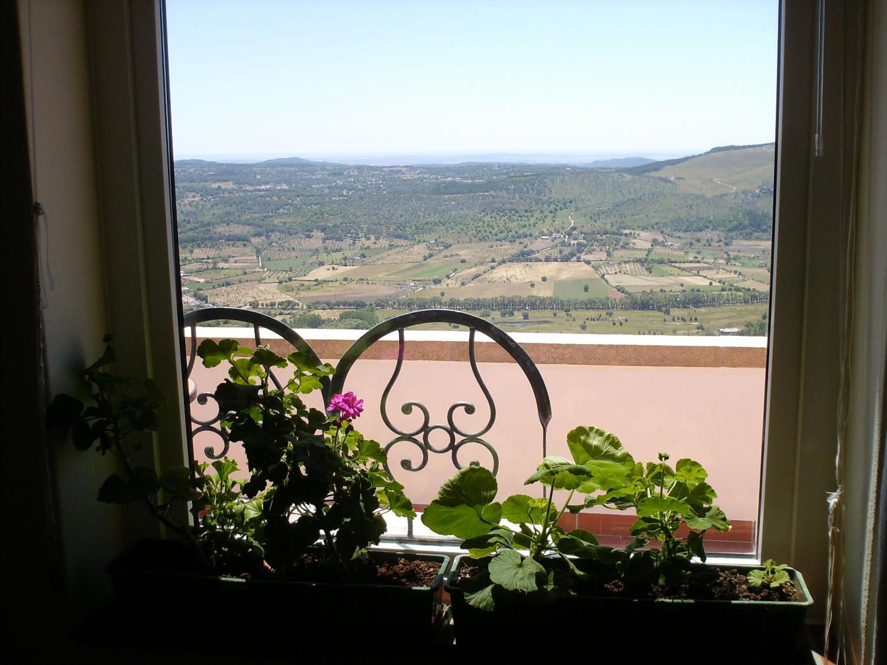 Casa da Arvore — photo 3