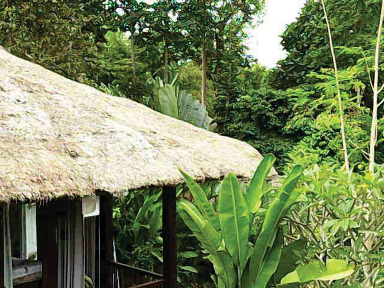 Astawa House