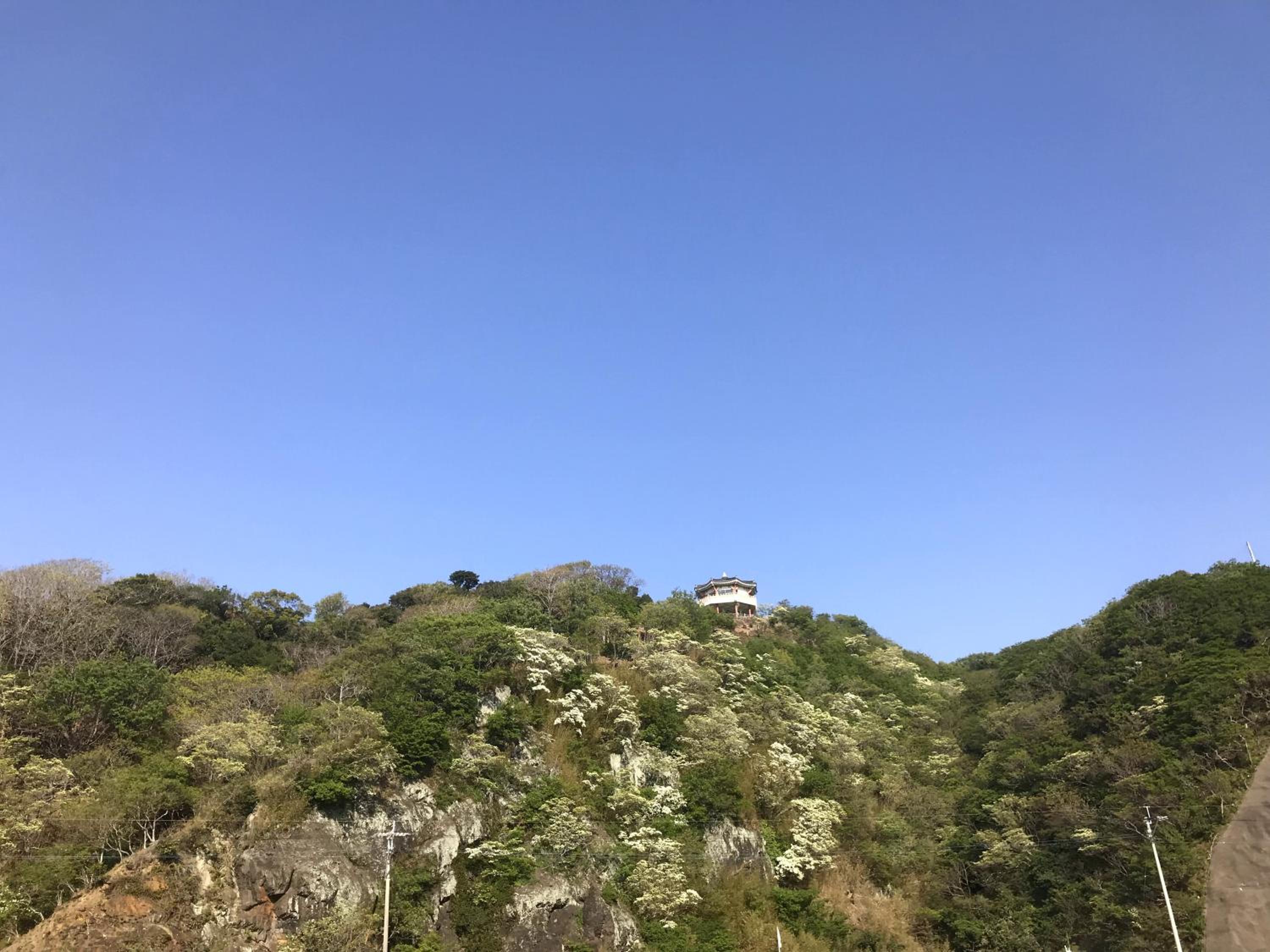Tsushima White House