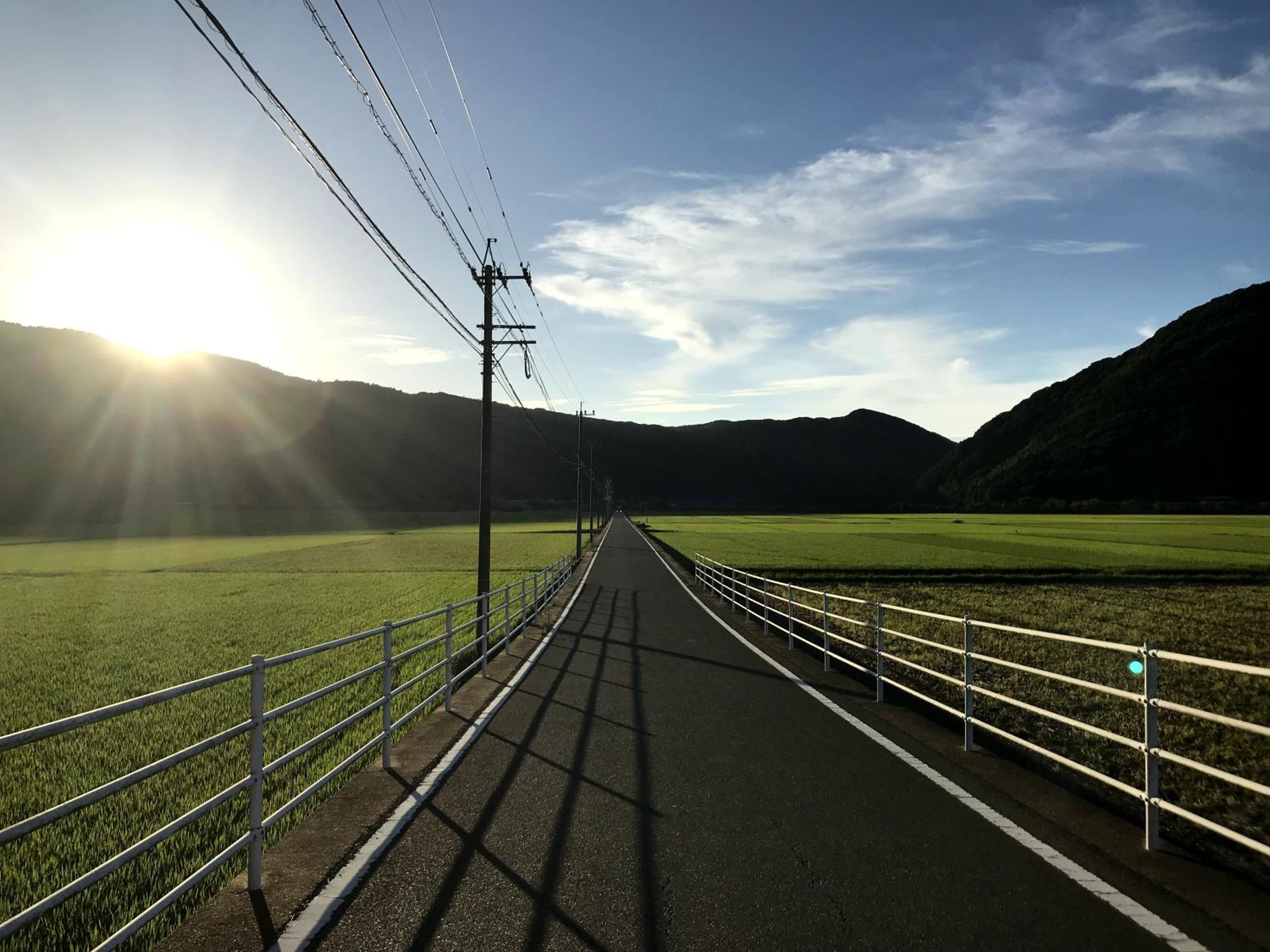 Tsushima White House