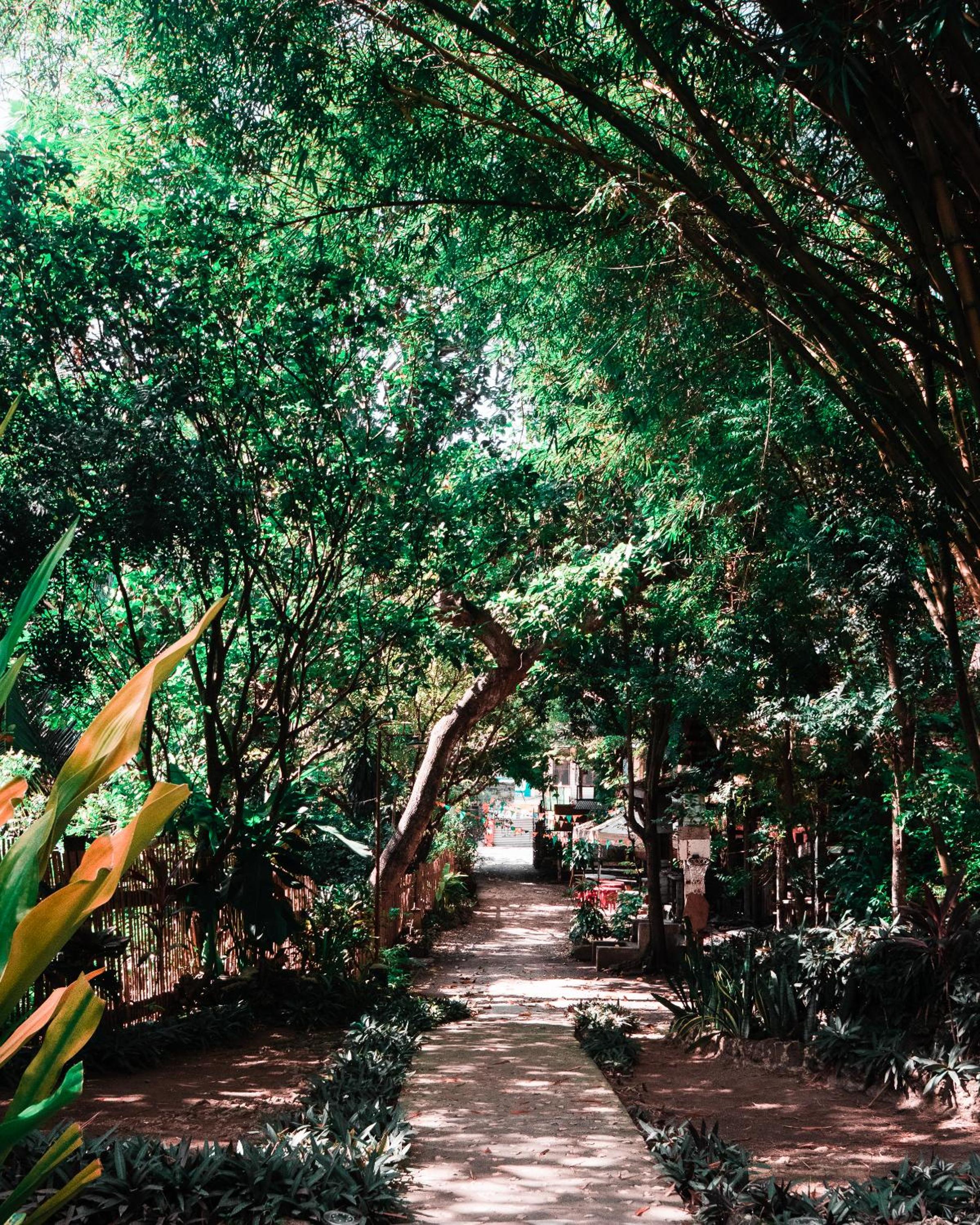 Oasis Balili Heritage Lodge view 2