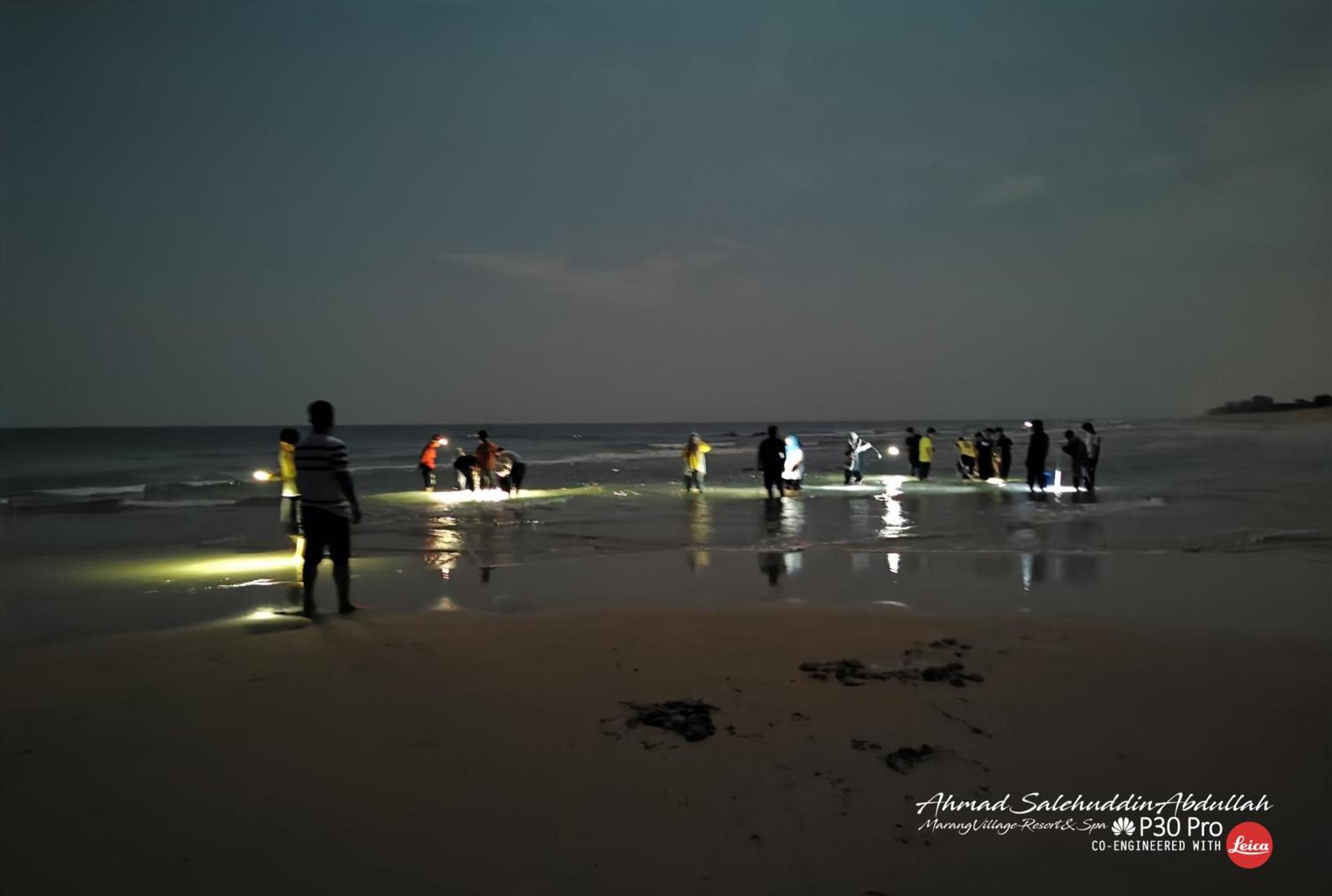 Marang Village Resort