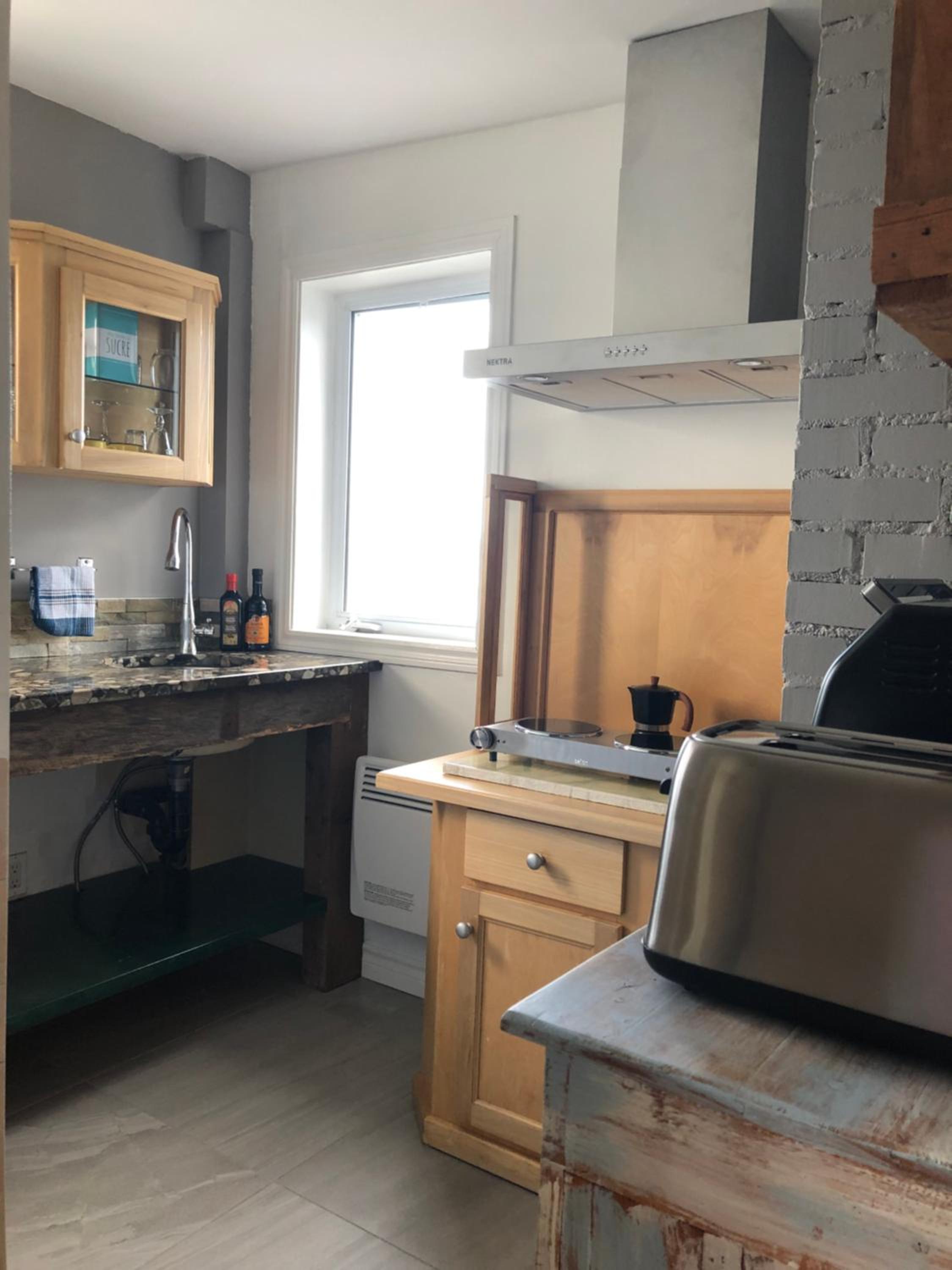 Suite 1 Flèche du fjord vue Saguenay Monts Valin