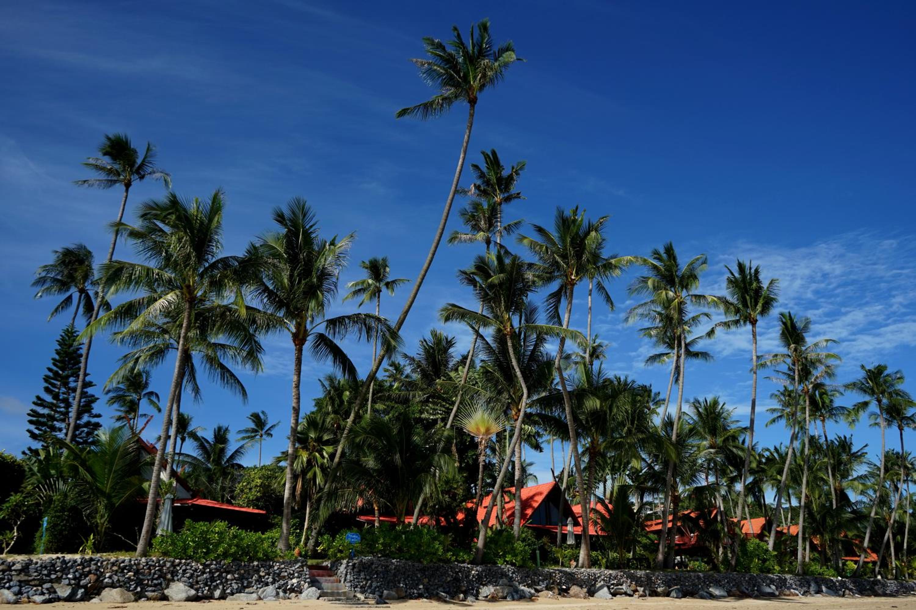 The Natives Samui