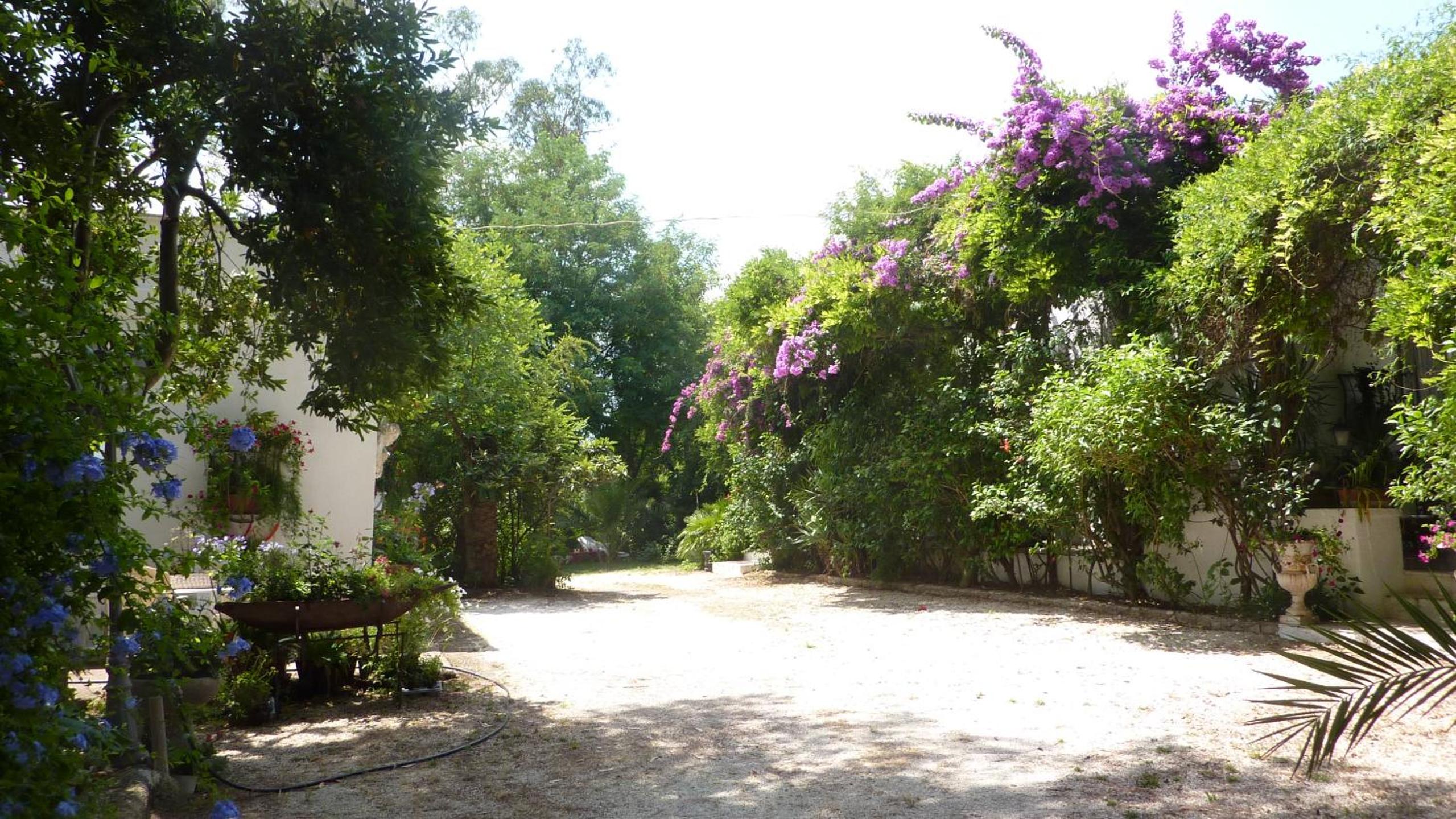 Photo 44