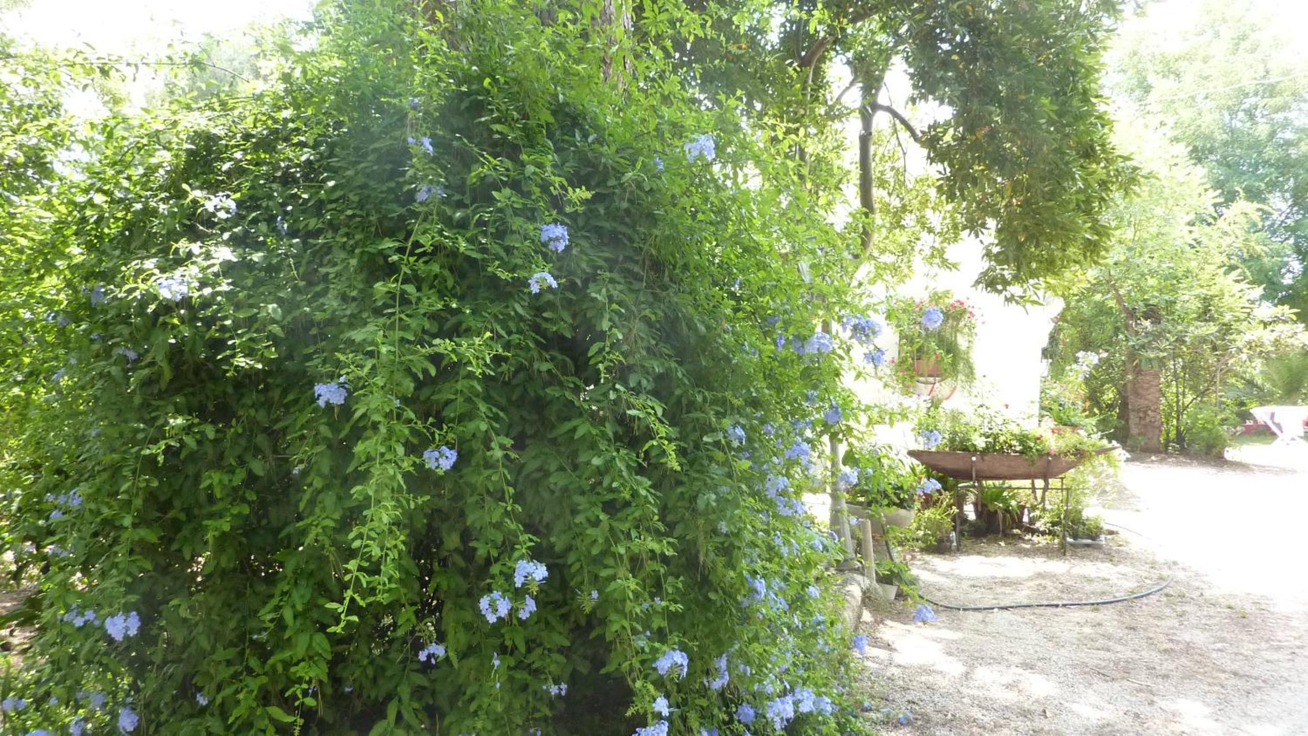 Photo 29