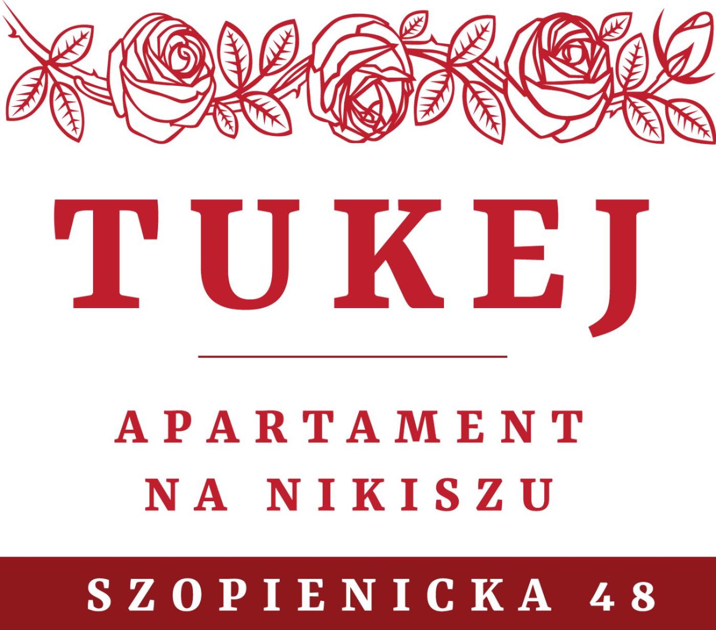 Tukej apartament na Nikiszu, photo 23