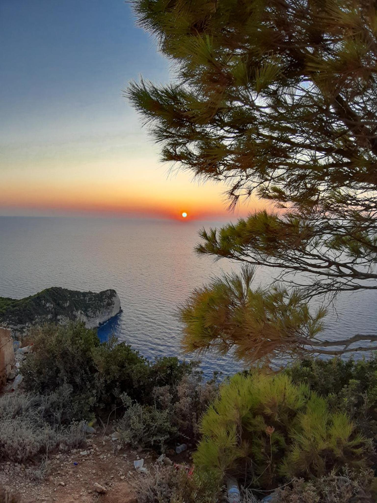 Nature Villa