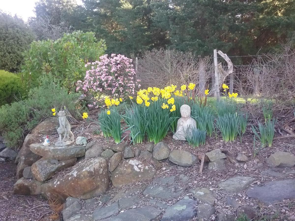 Hotel Sherwood View Accommodation - Image 1