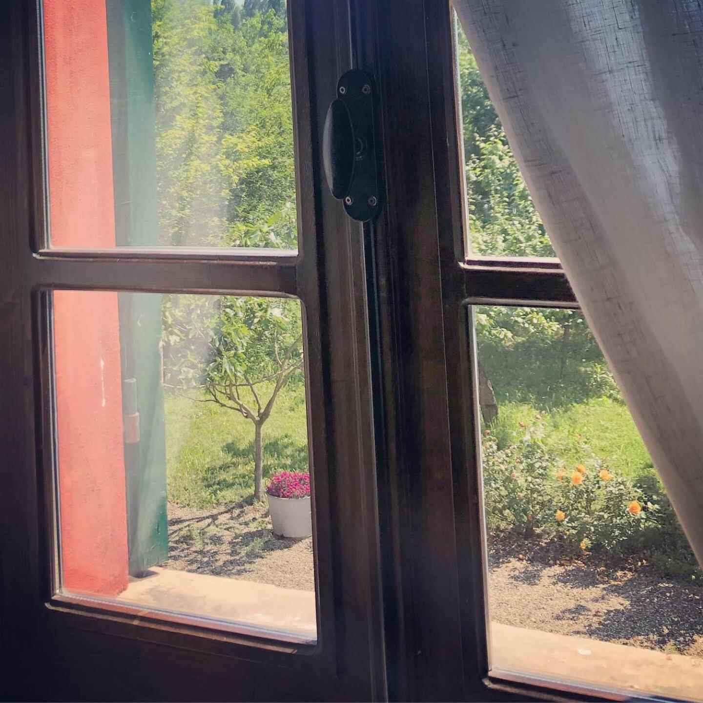 B&B Podere Merlo, photo 24