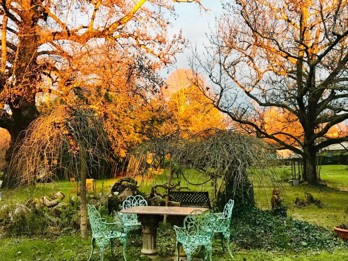 La Rebière d'Or, B&B et Gîte