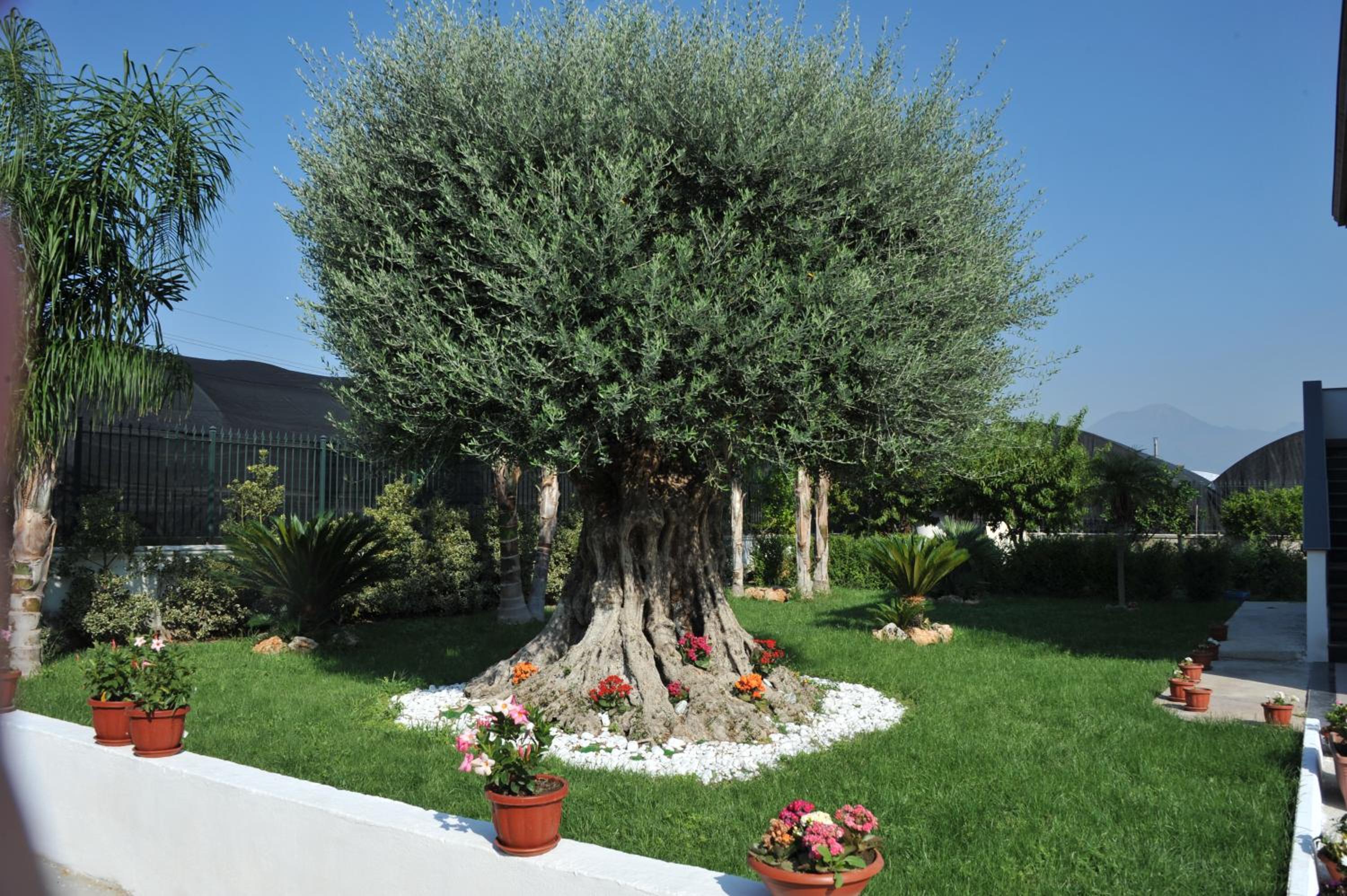 B&B Cascina Fiorita