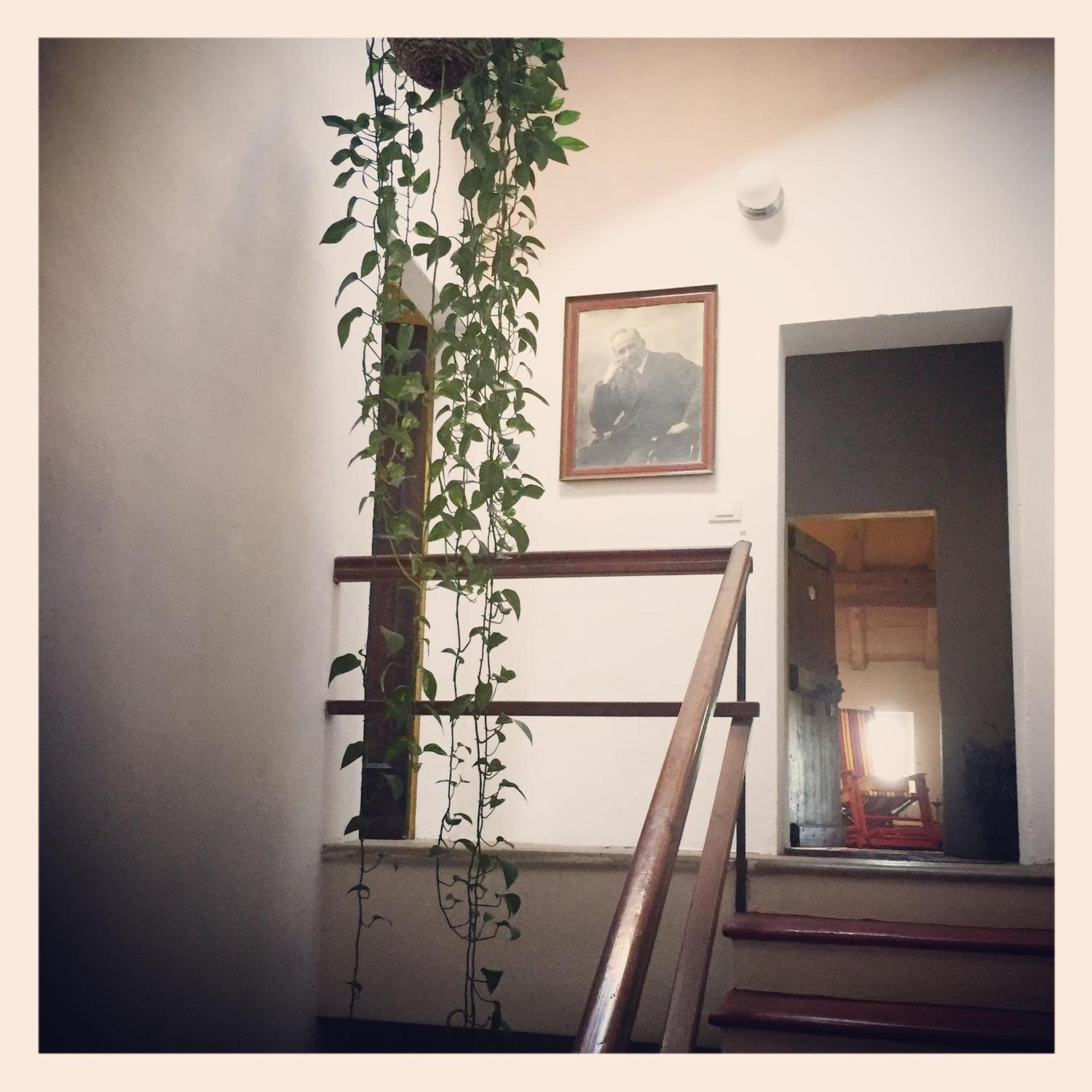 B&B Podere Merlo, photo 13
