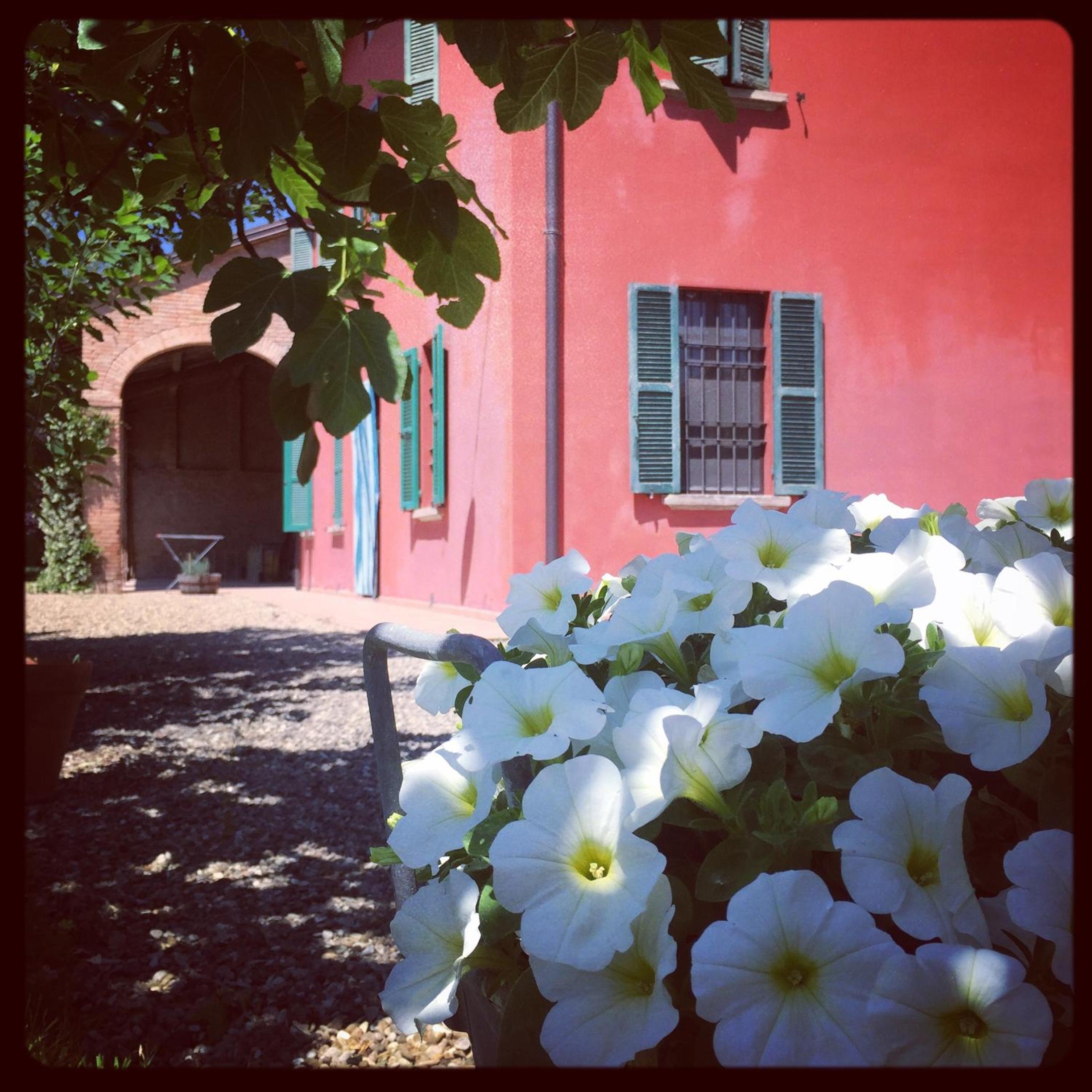 B&B Podere Merlo, photo 44