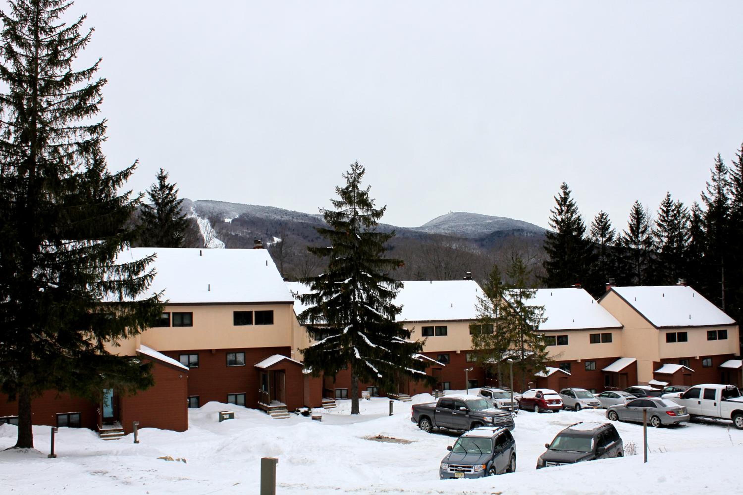 One Bedroom Edgemont Condo A1 Near Base Ski Back view 2