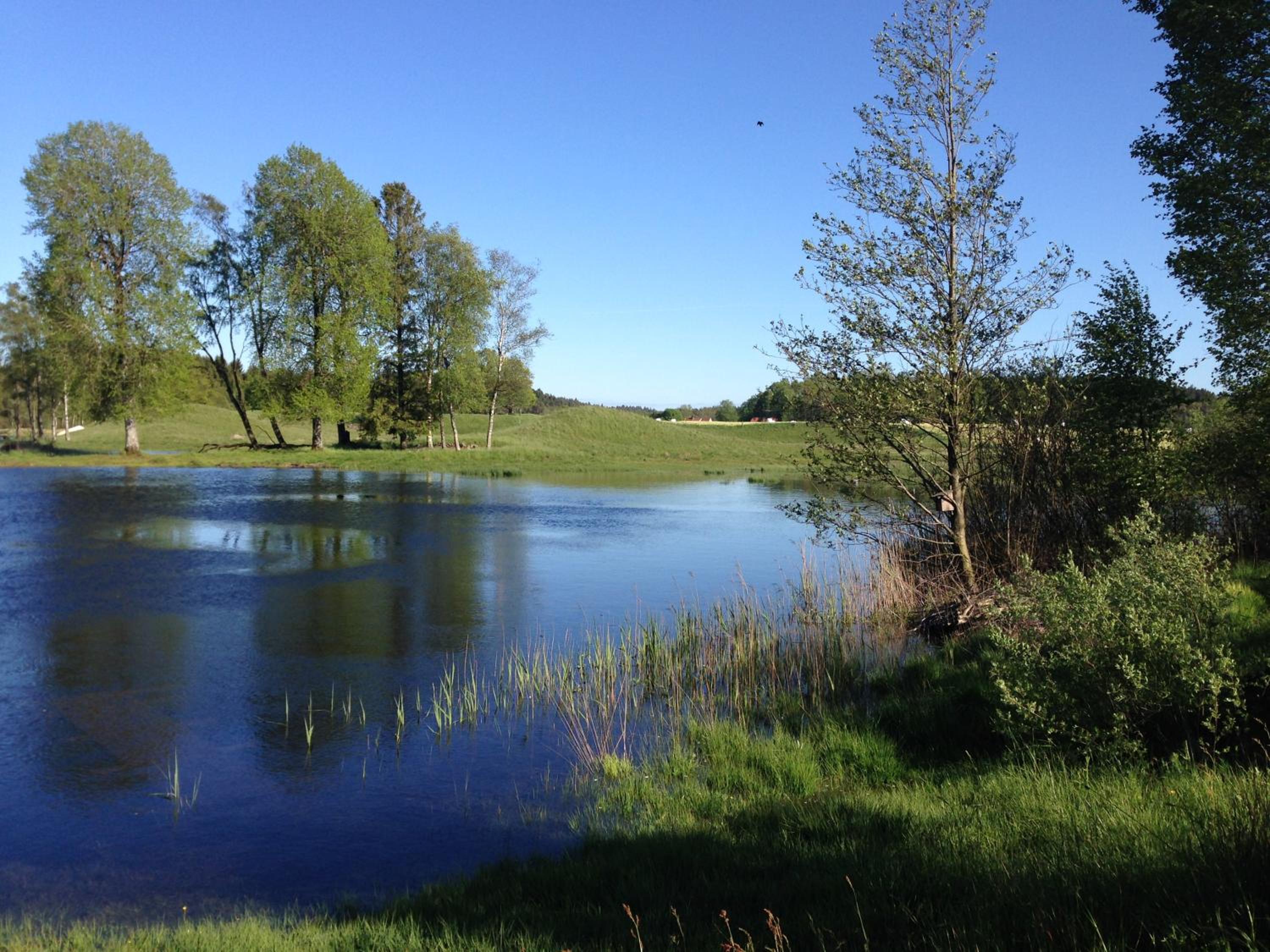 Photo 19