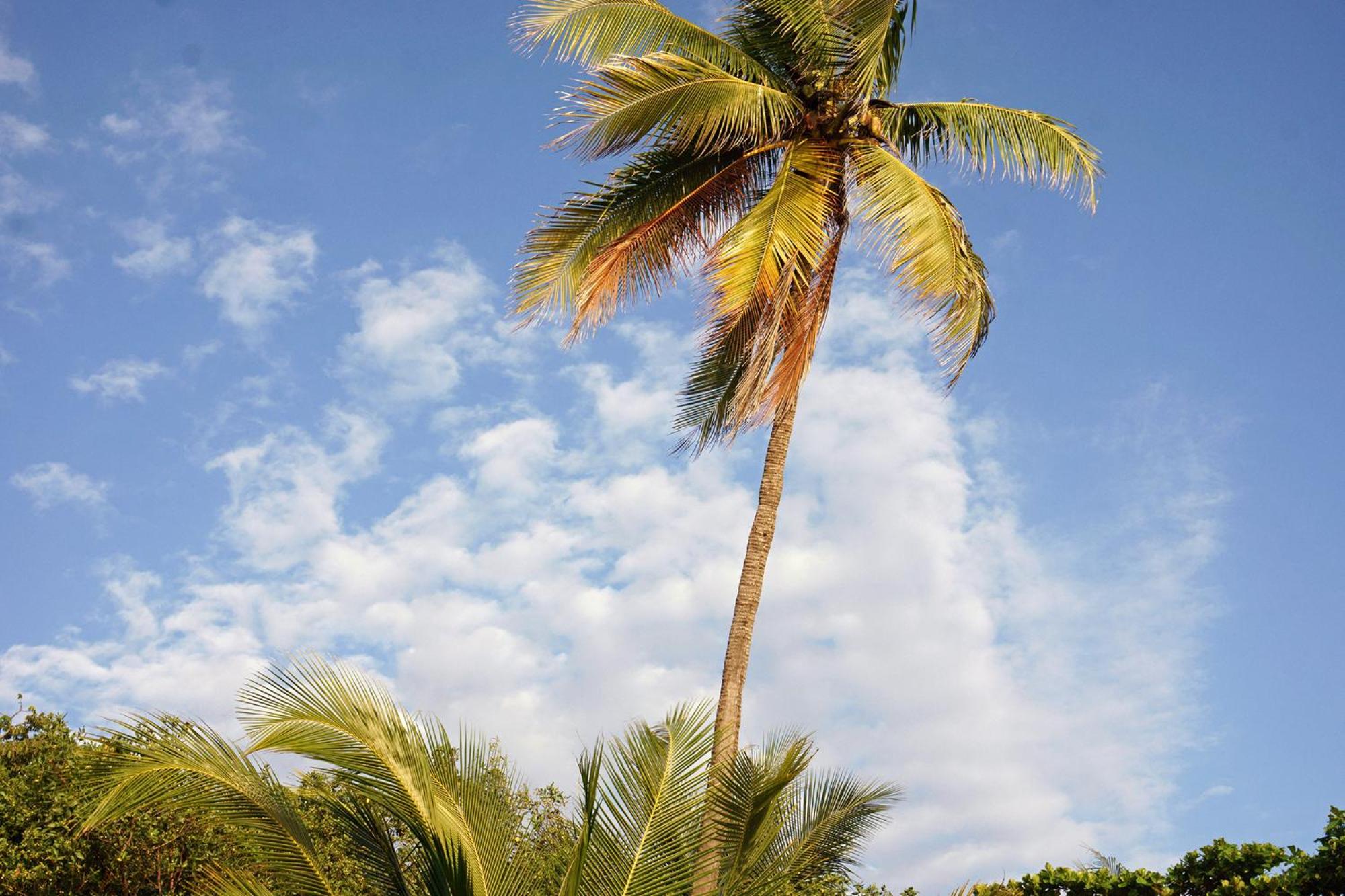 Villa Havana