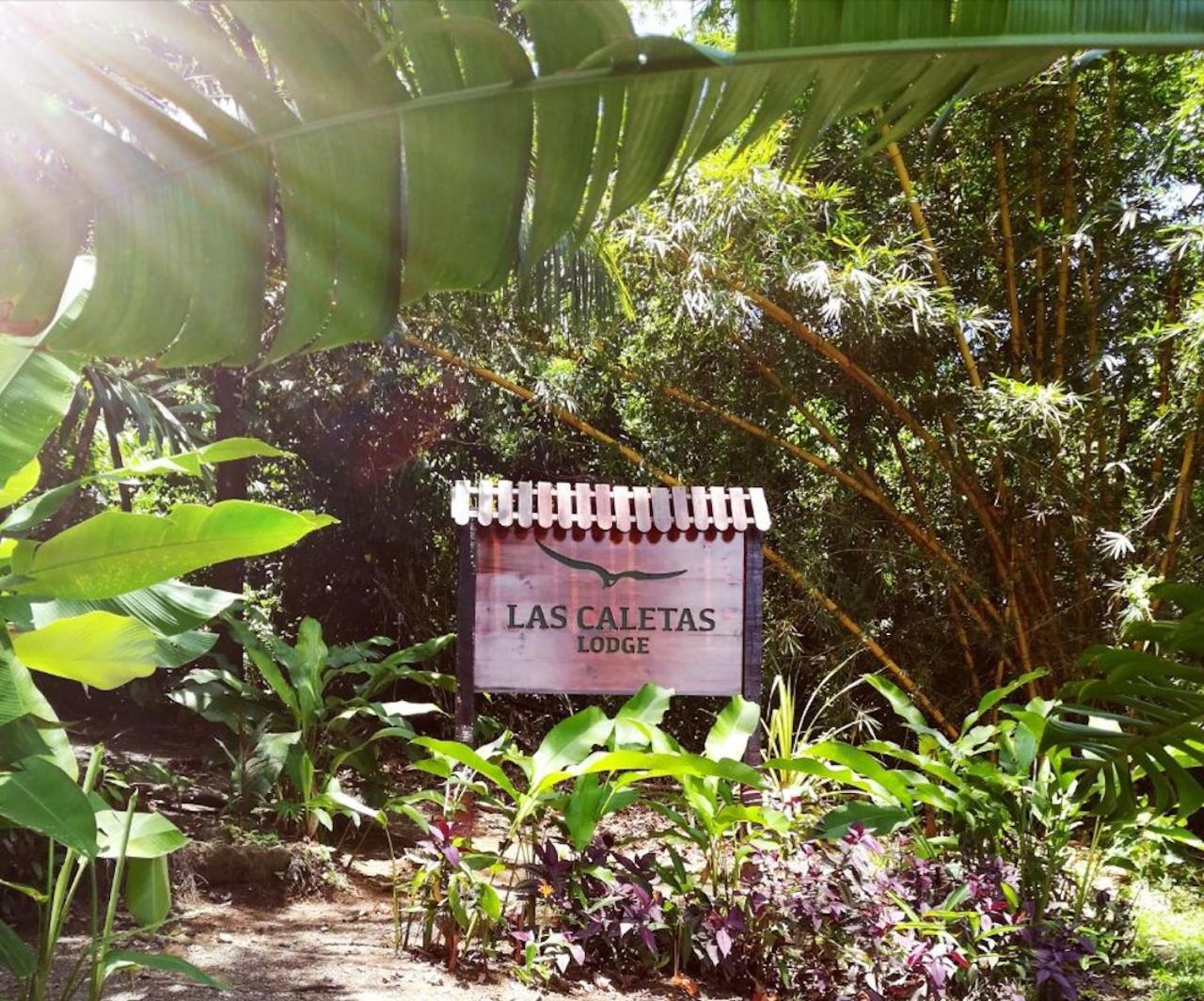 Las Caletas Lodge