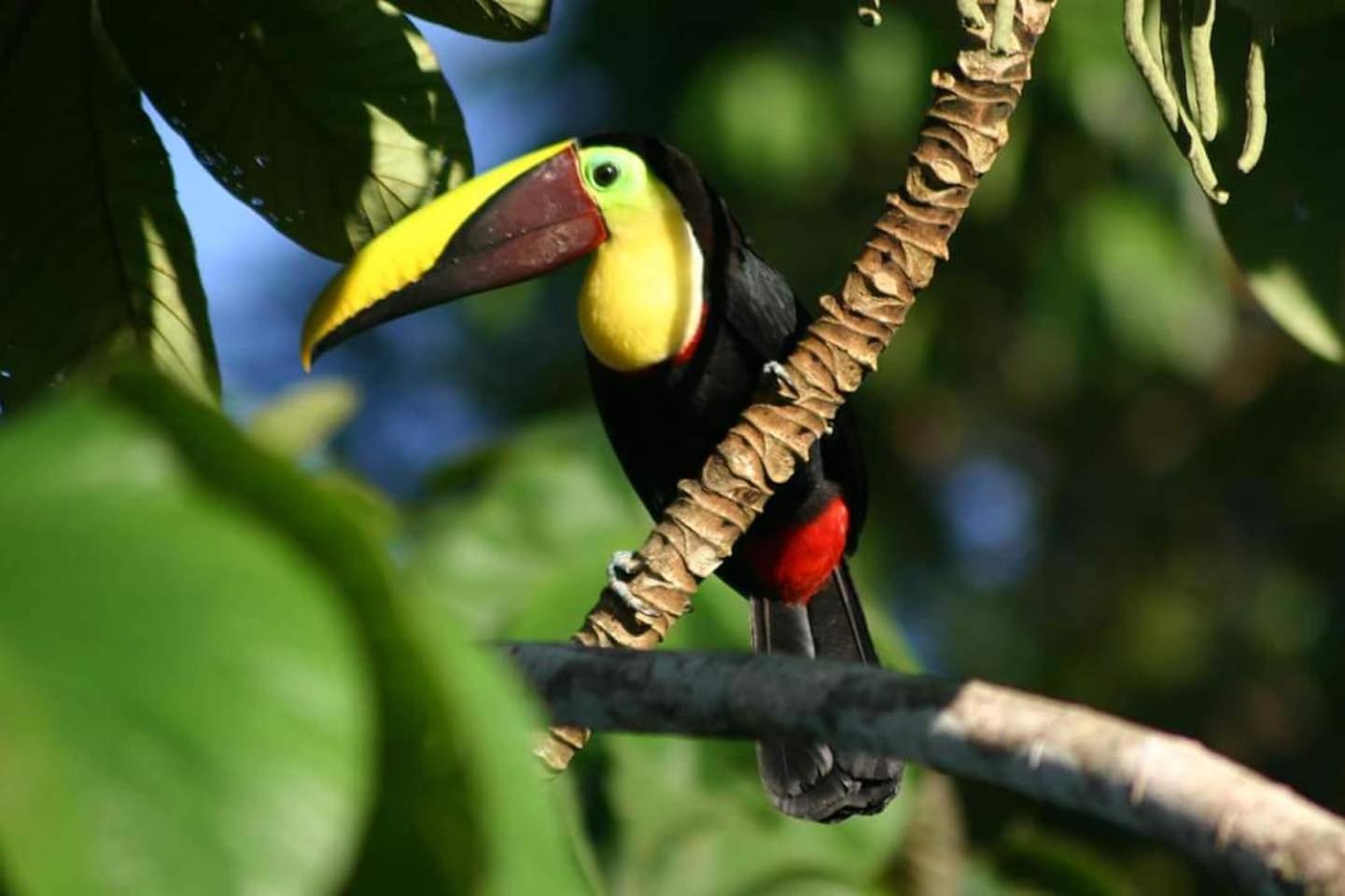 Las Caletas Lodge