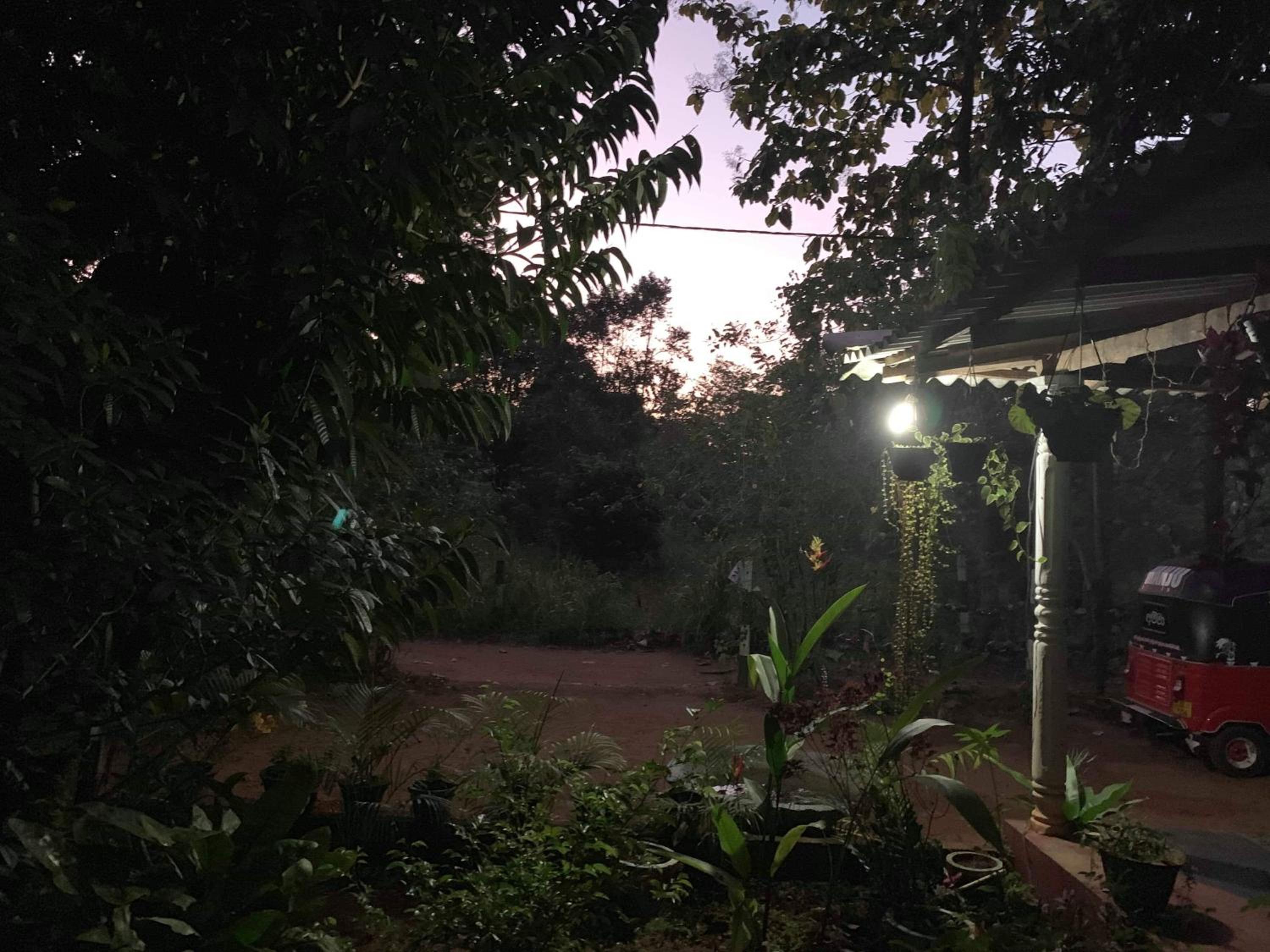 Manju Homestay