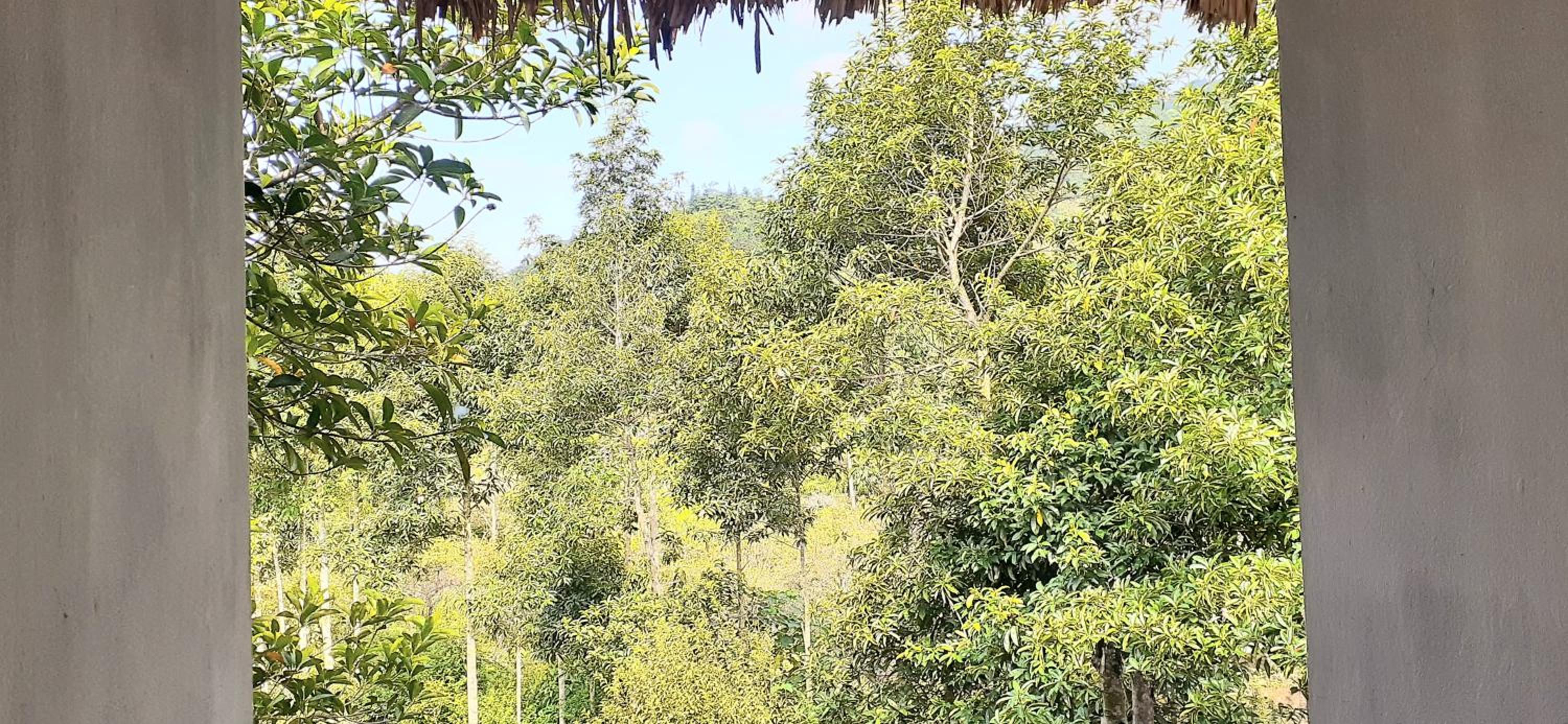Sa House Bac Ha