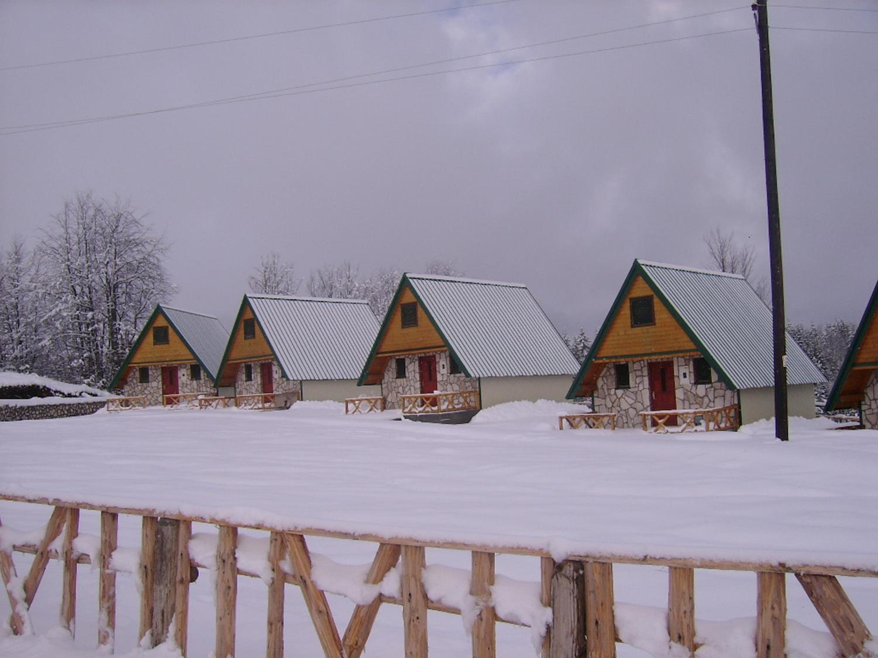 Photo 41