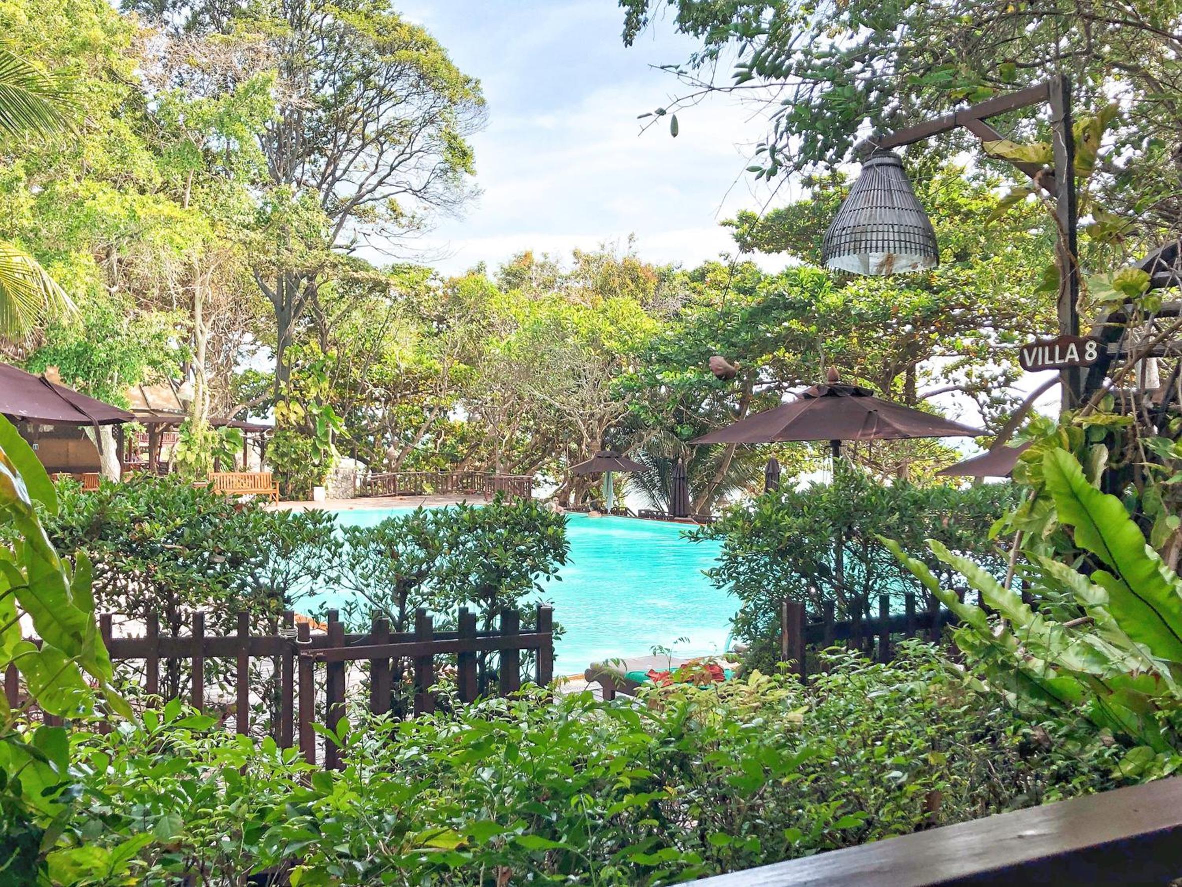 Birds and Bees Resort