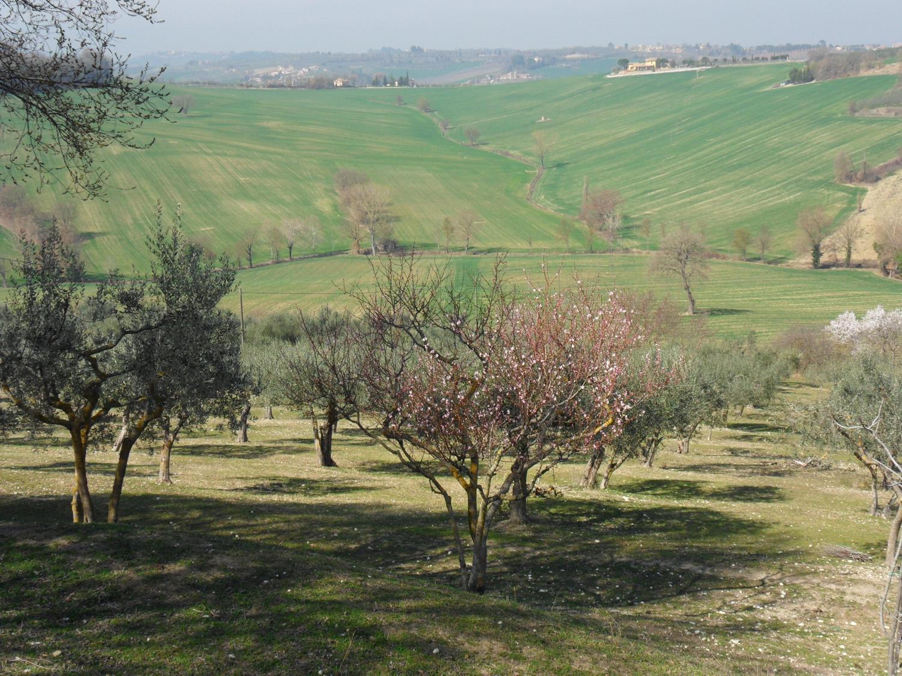 Agriturismo Il Poggiolo