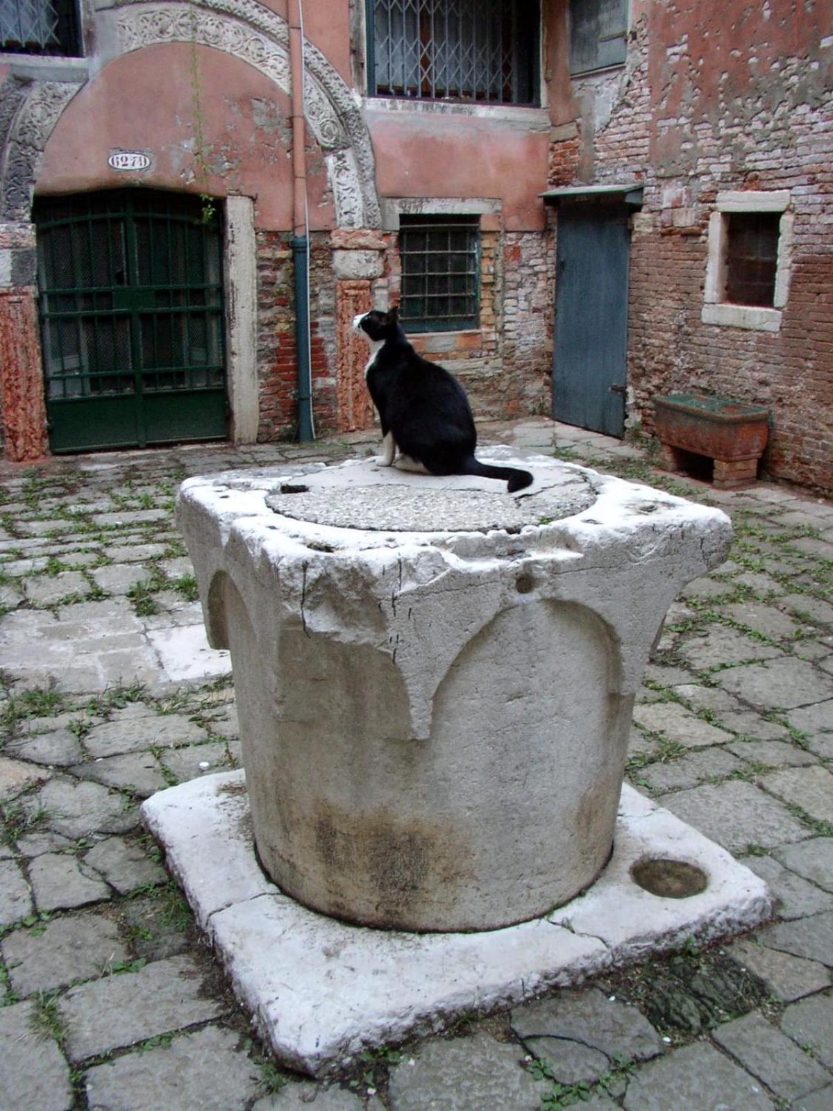 Apartment Essence of Venice