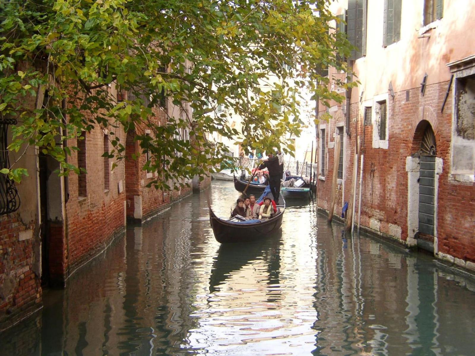 Apartment Essence of Venice