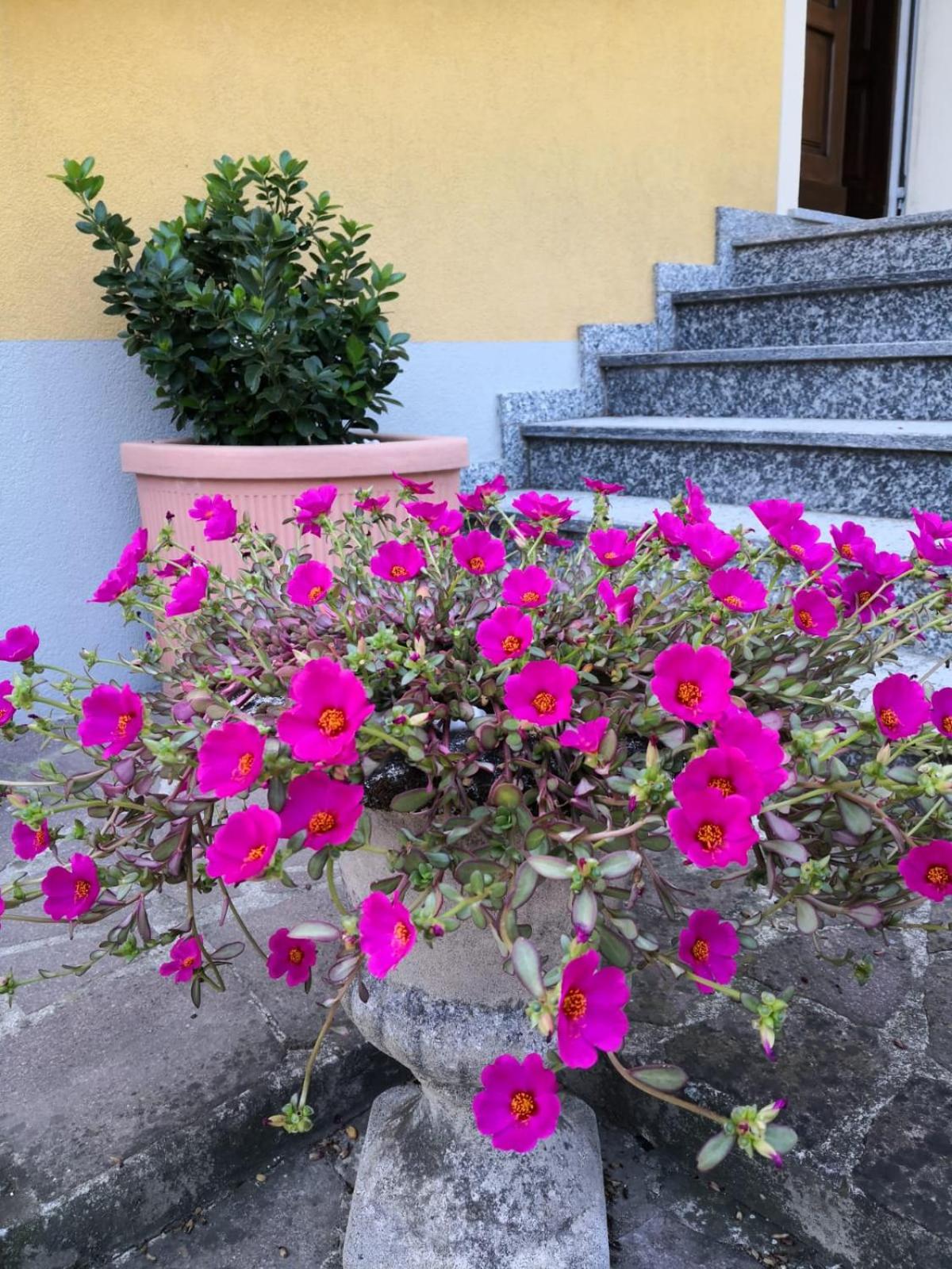 La Casa di Tino photo 3