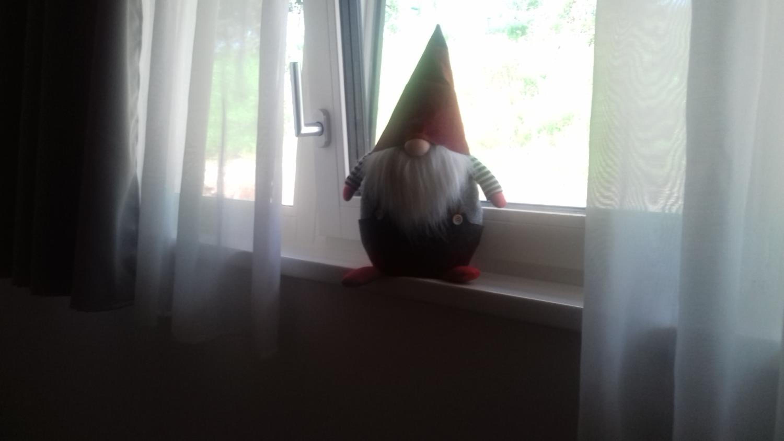 Photo 44
