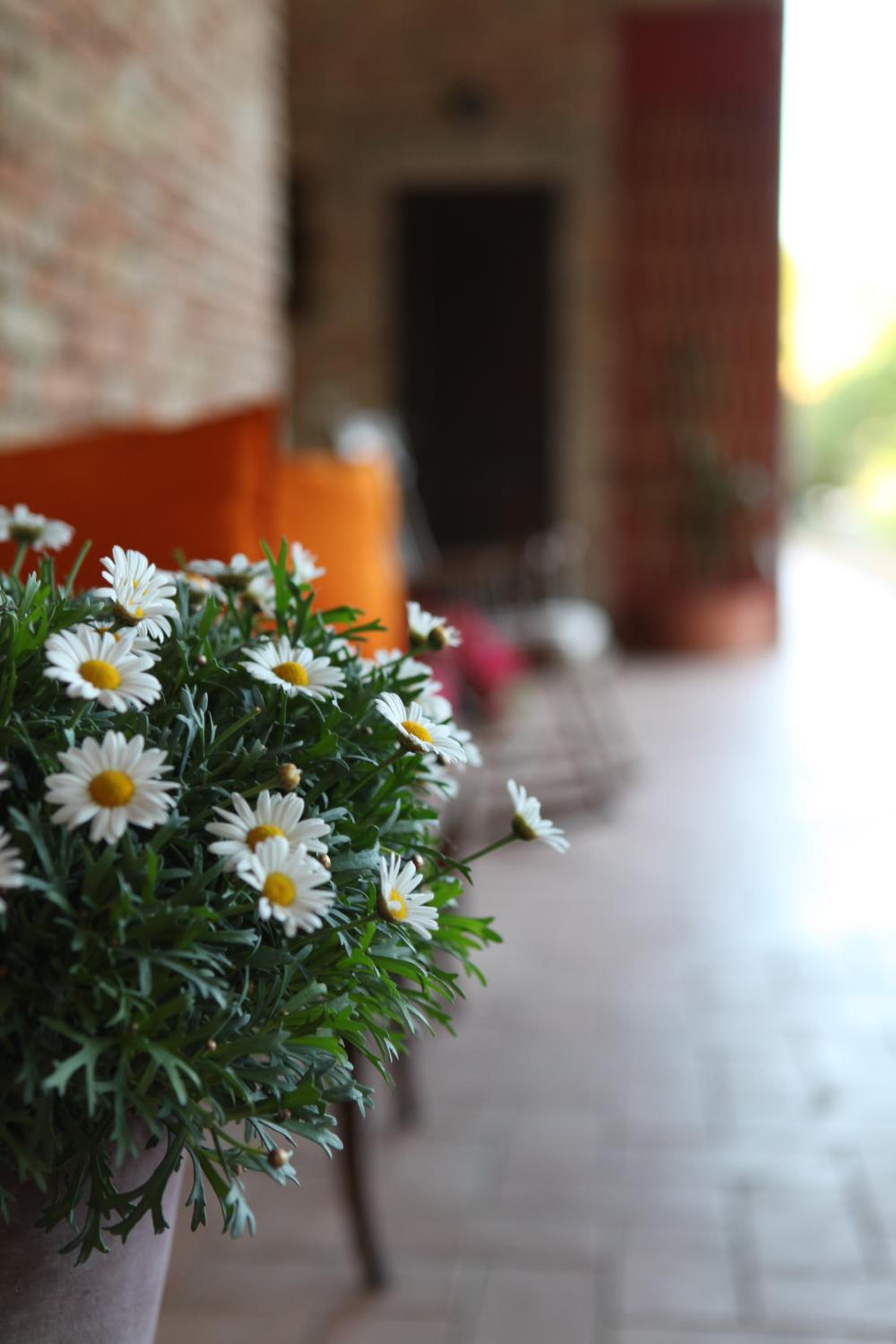 B&B Podere Merlo, photo 59