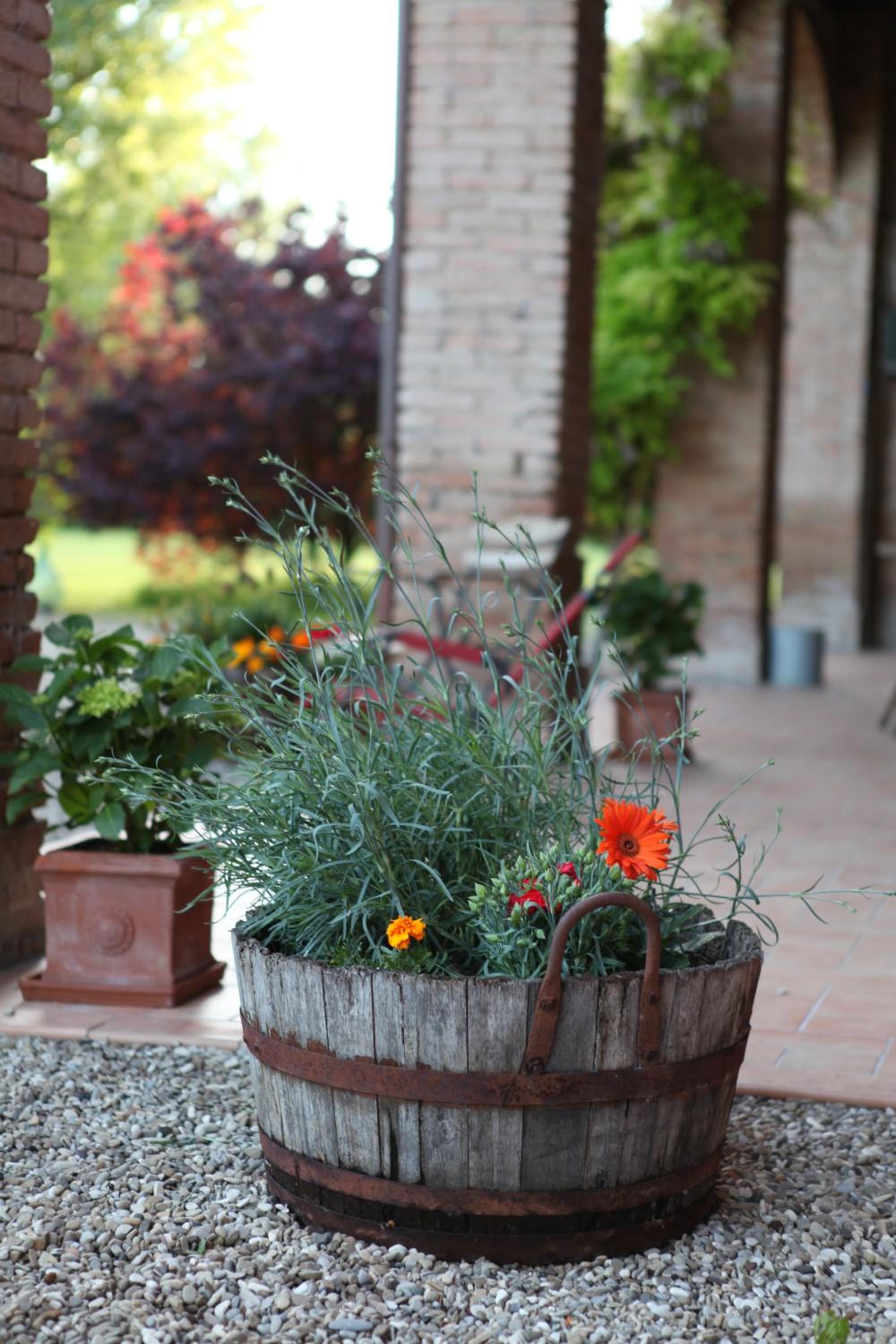 B&B Podere Merlo, photo 95