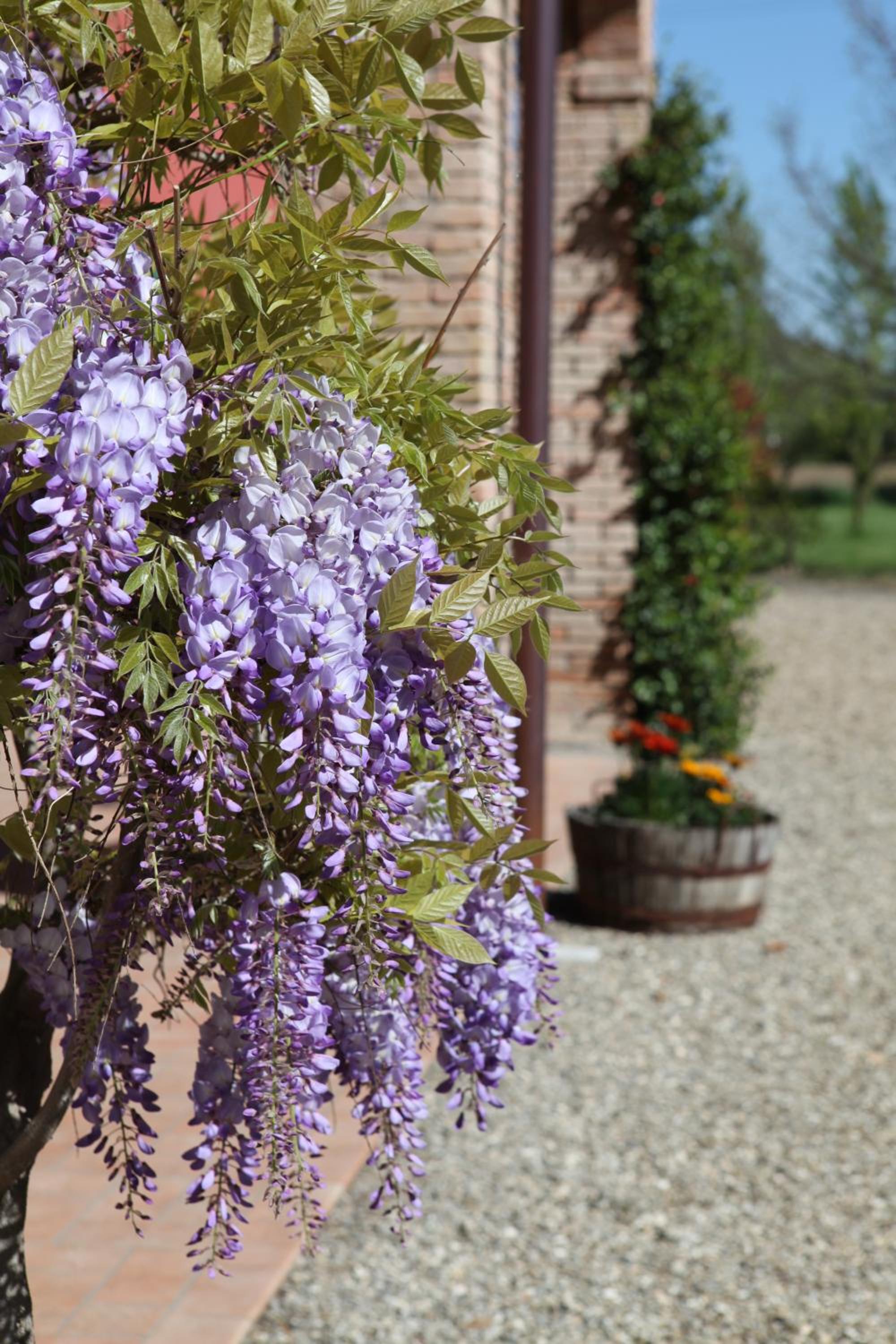 B&B Podere Merlo, photo 98