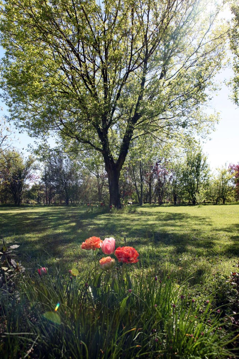B&B Podere Merlo, photo 49