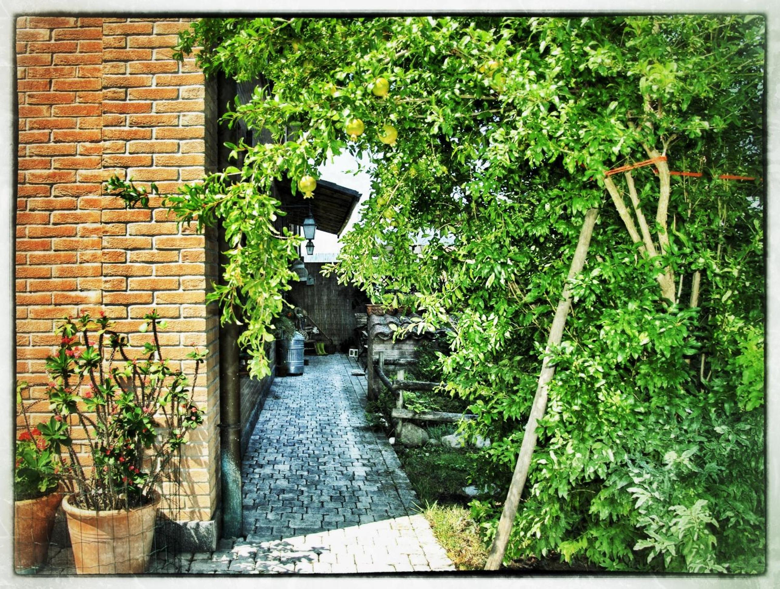 La Corte del Macero view 4