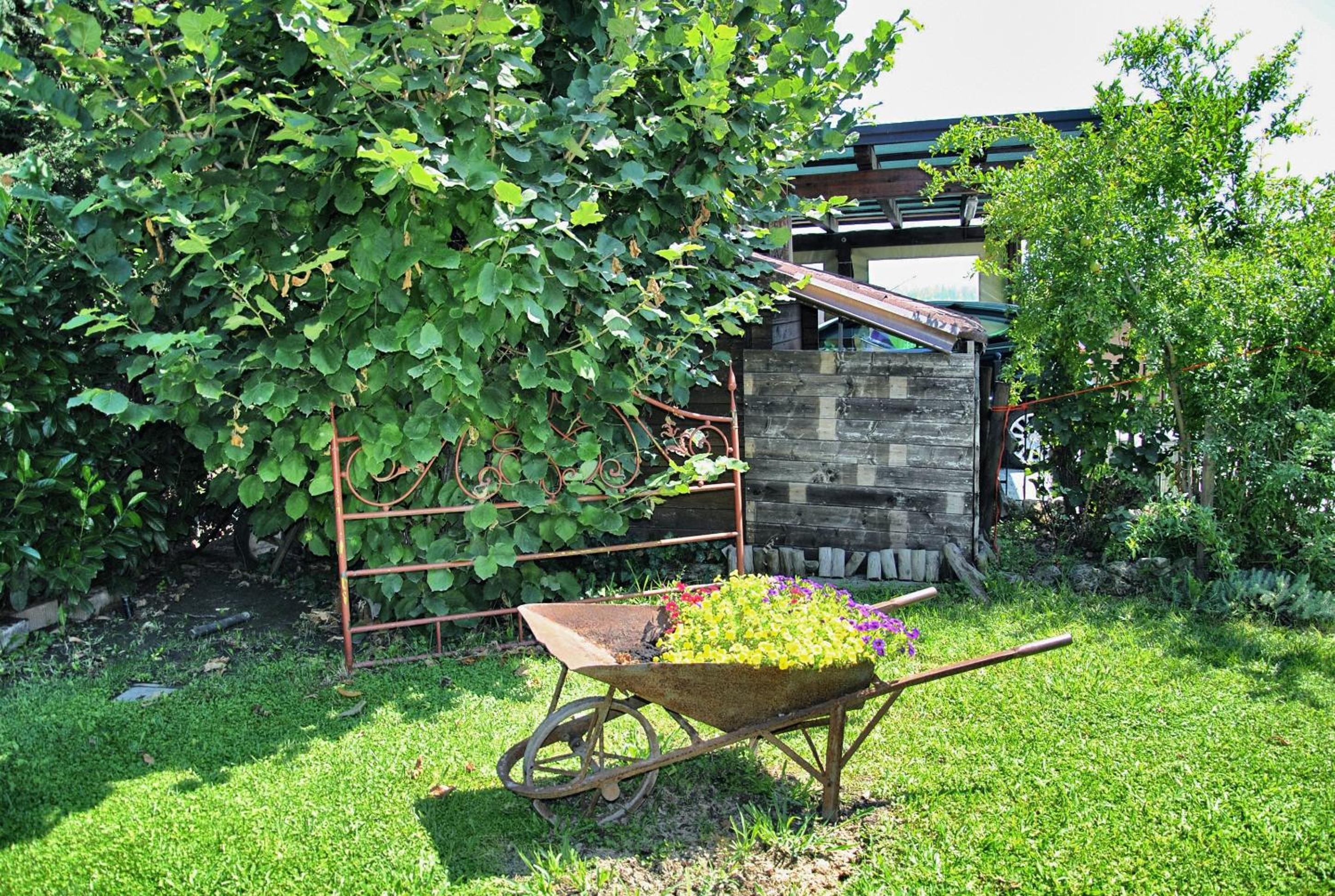 Photo 18