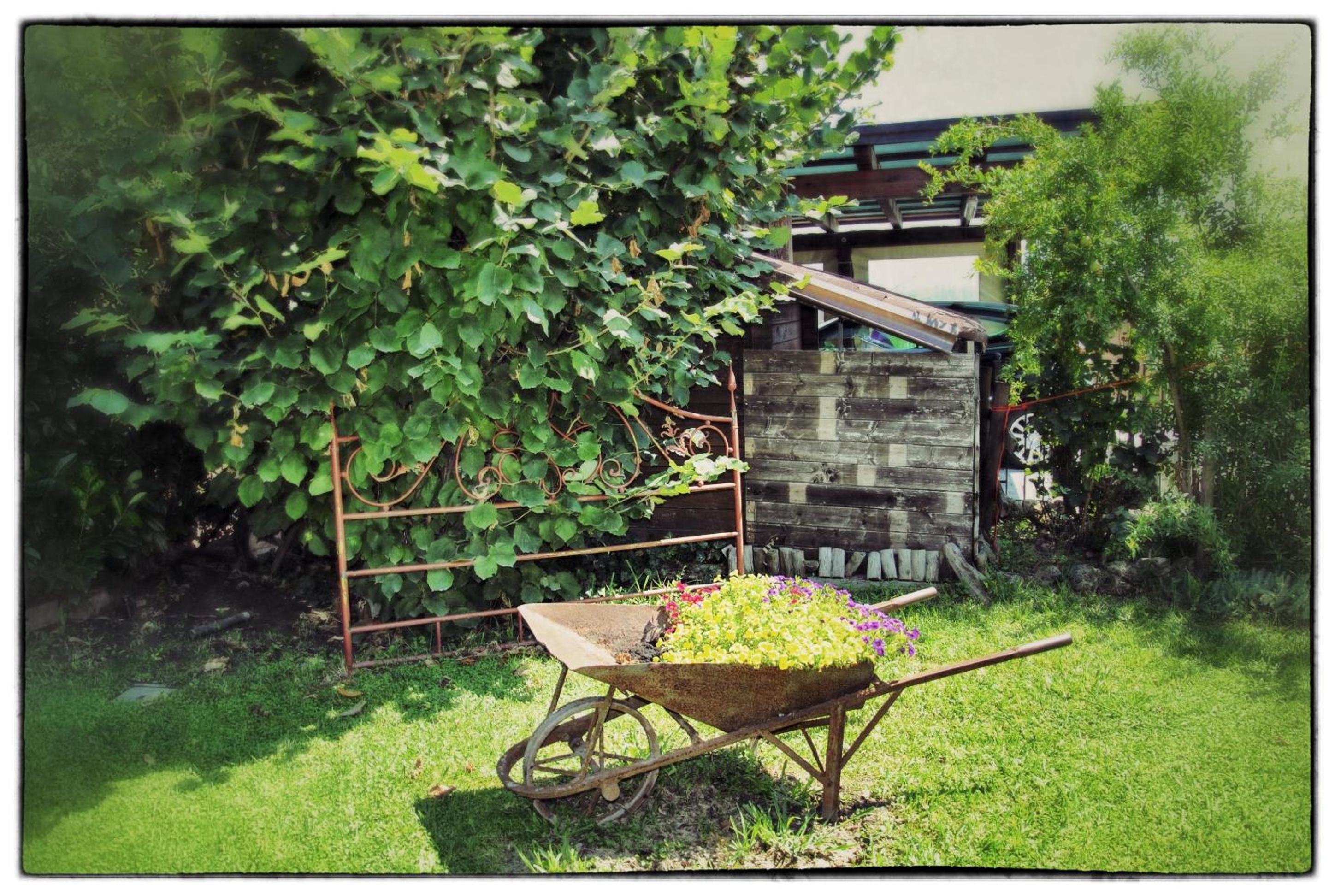 Photo 19
