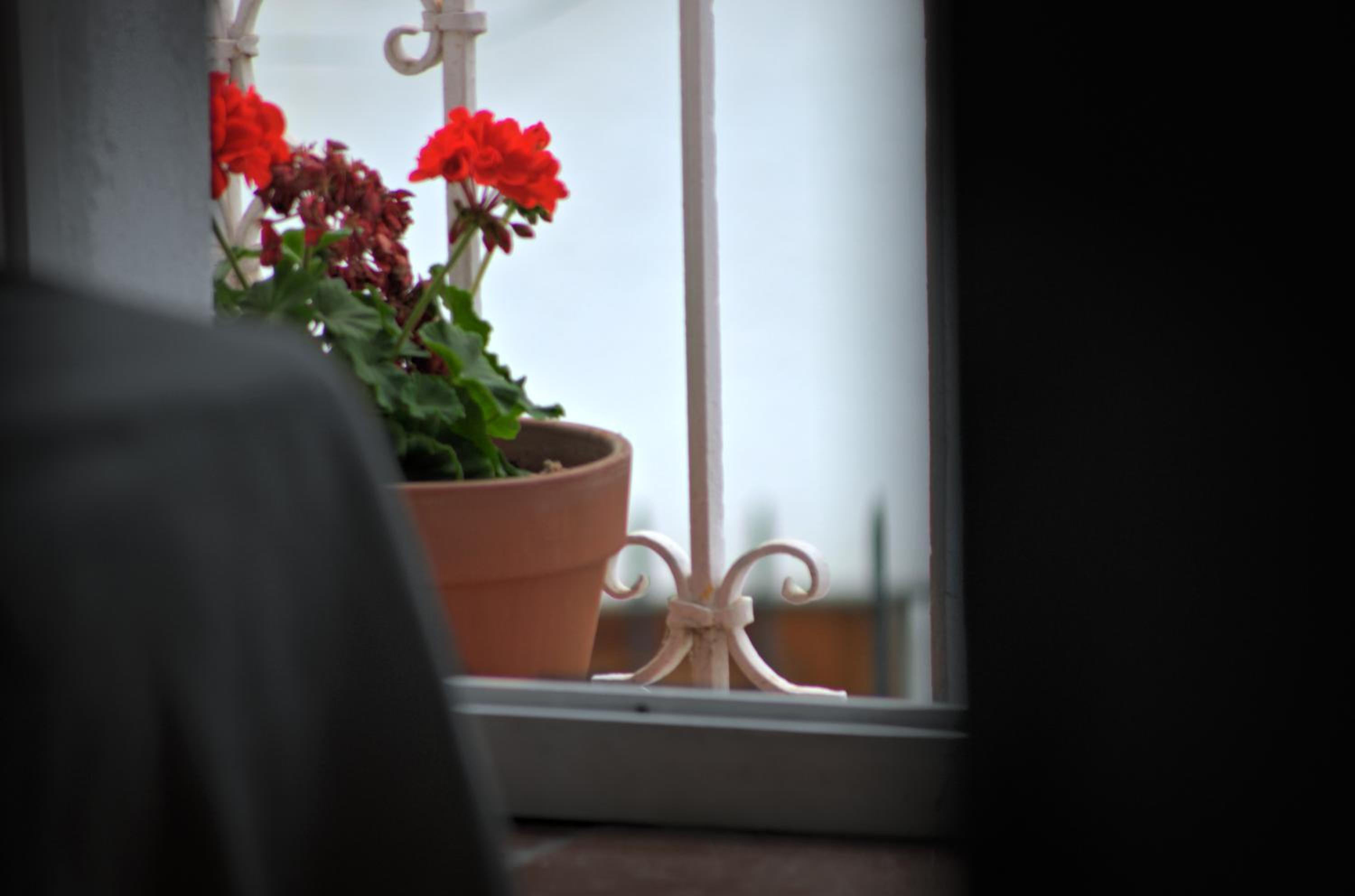 Benali Guest House