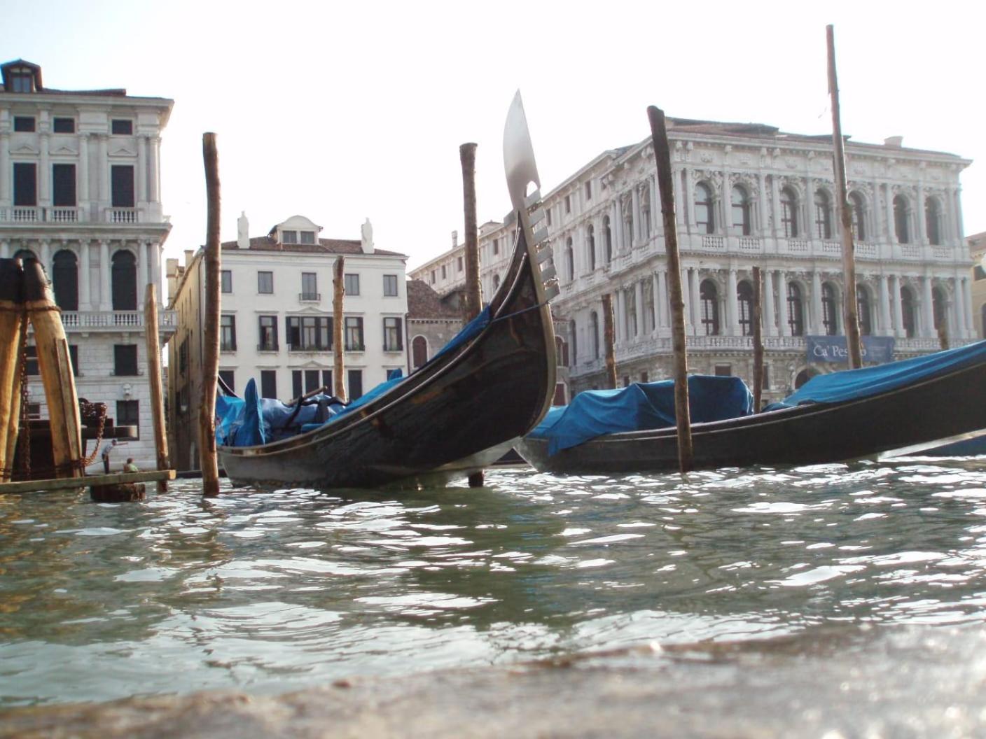Rudy House Venice