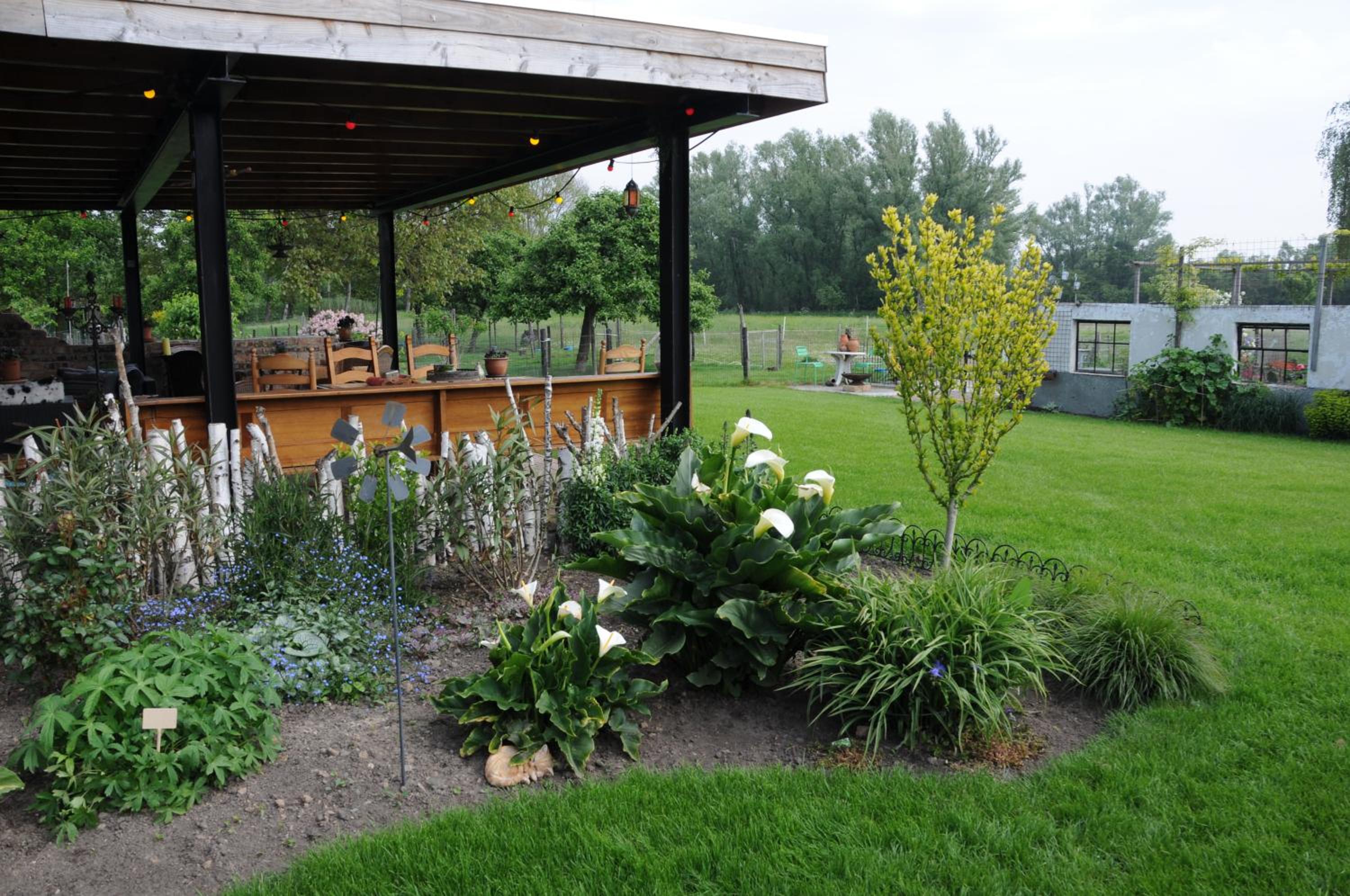 Photo 26